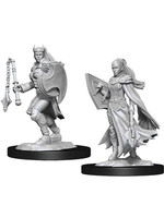 Dungeons & Dragons Nolzur`s Marvelous Unpainted Miniatures: W14 Kalashtar Cleric Female