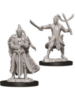 Dungeons & Dragons: Nolzur's Marvelous Unpainted Miniatures - W09 Male Elf Paladin