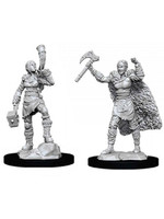 Dungeons & Dragons Nolzur`s Marvelous Unpainted Miniatures: W12 Female Human Barbarian