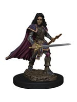 Pathfinder Battles: Premium Painted Figure - W2 Human Bard Female