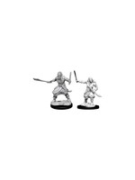 Dungeons & Dragons: Nolzur's Marvelous Unpainted Miniatures - W08 Bandits