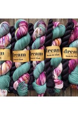 Dream in Color Dream In Color Sock It! Club 2021