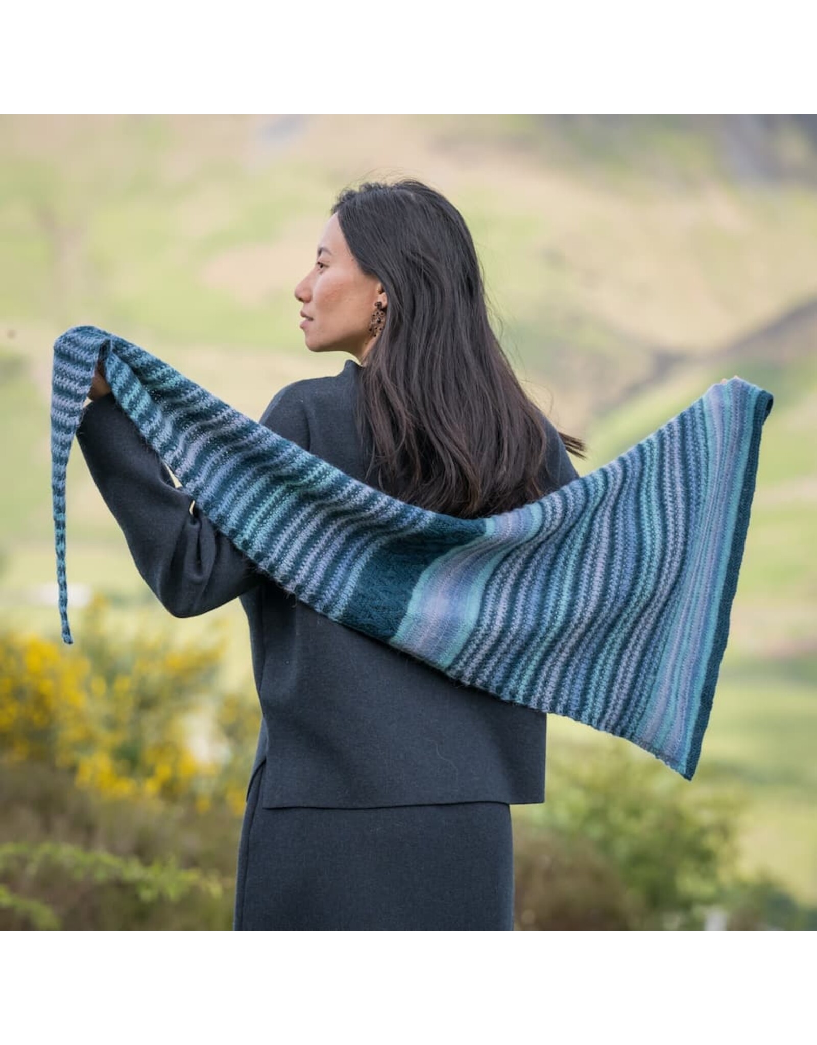 The Fiber Co. Transitions