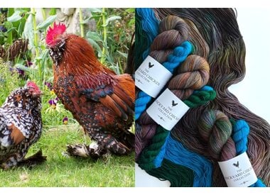 Hue Loco Backyard Chickens