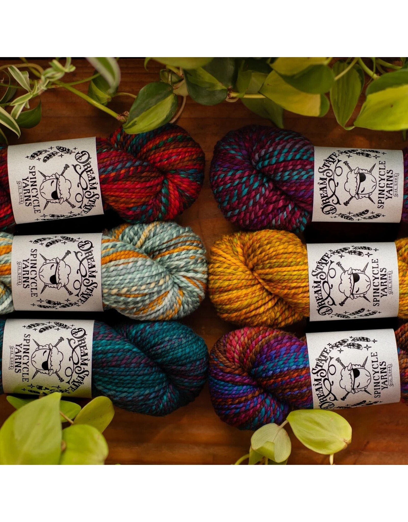 Spincycle Yarns Dream State 2.0 - True Worsted