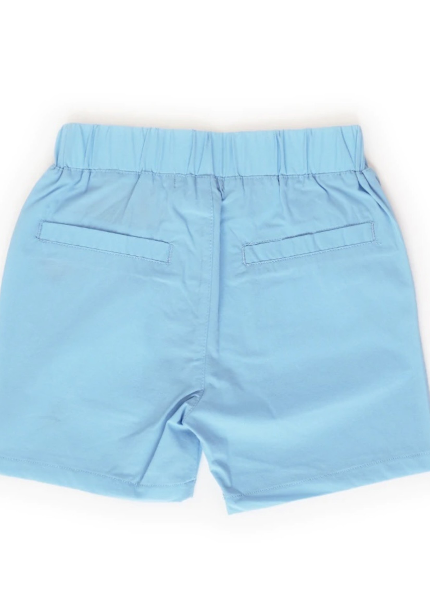 LIGHT BLUE THE EVERYDAY SHORTS