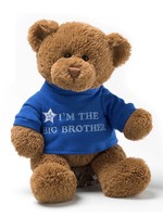 BIG BROTHER BEAR