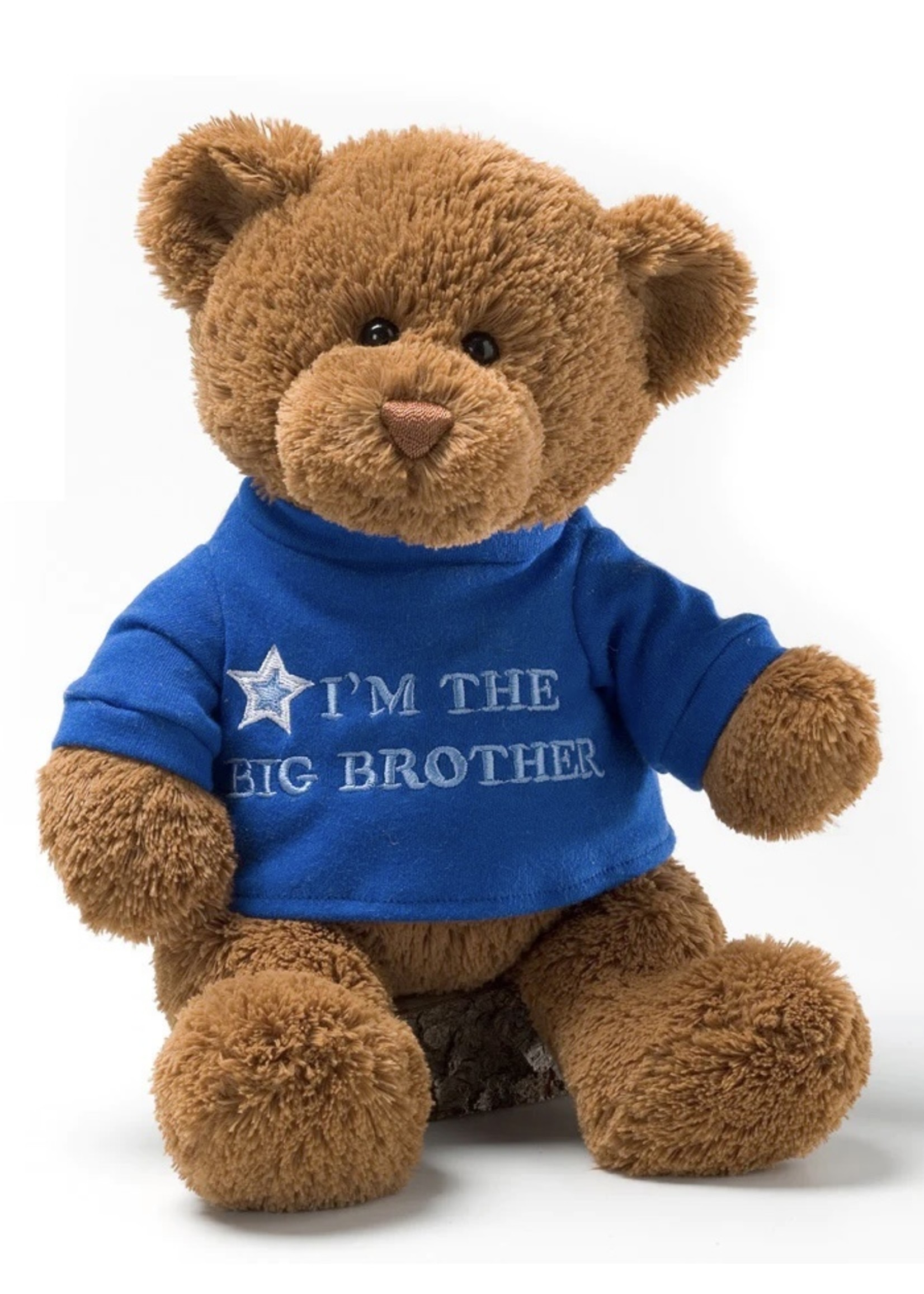 BIG BROTHER BEAR