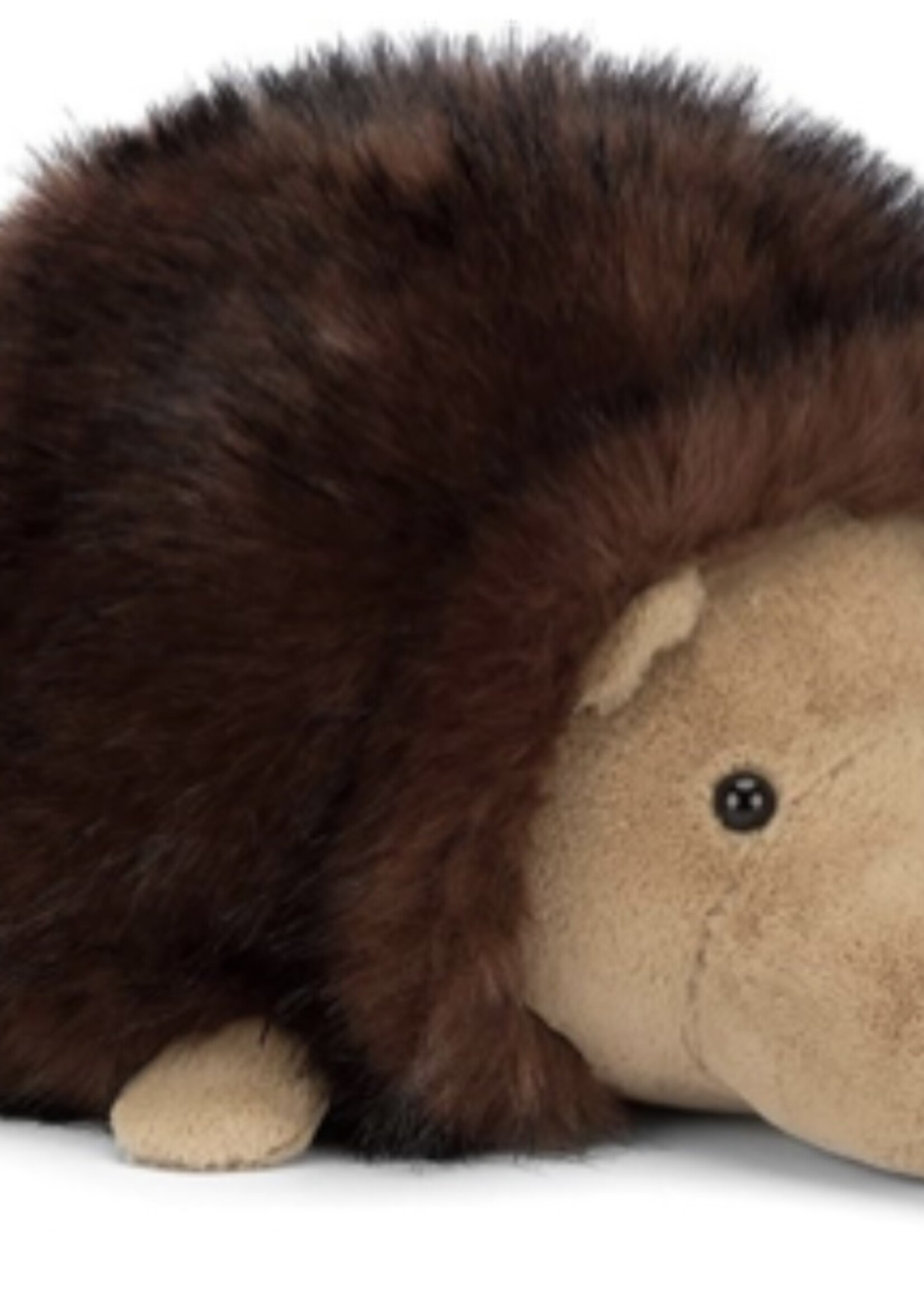 HAMISH HEDGEHOG