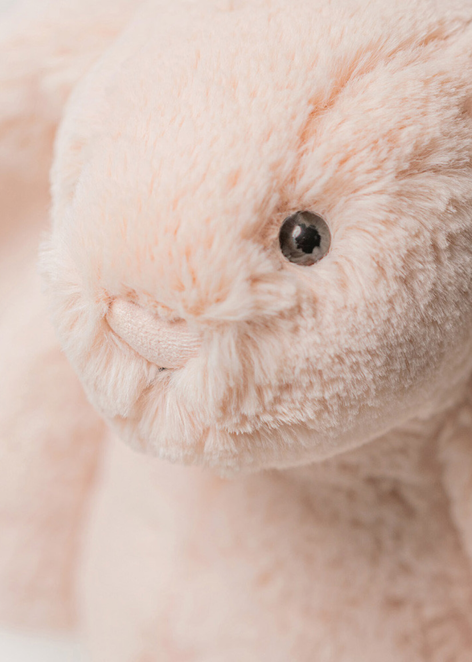 BASHFUL BLUSH BUNNY MEDIUM
