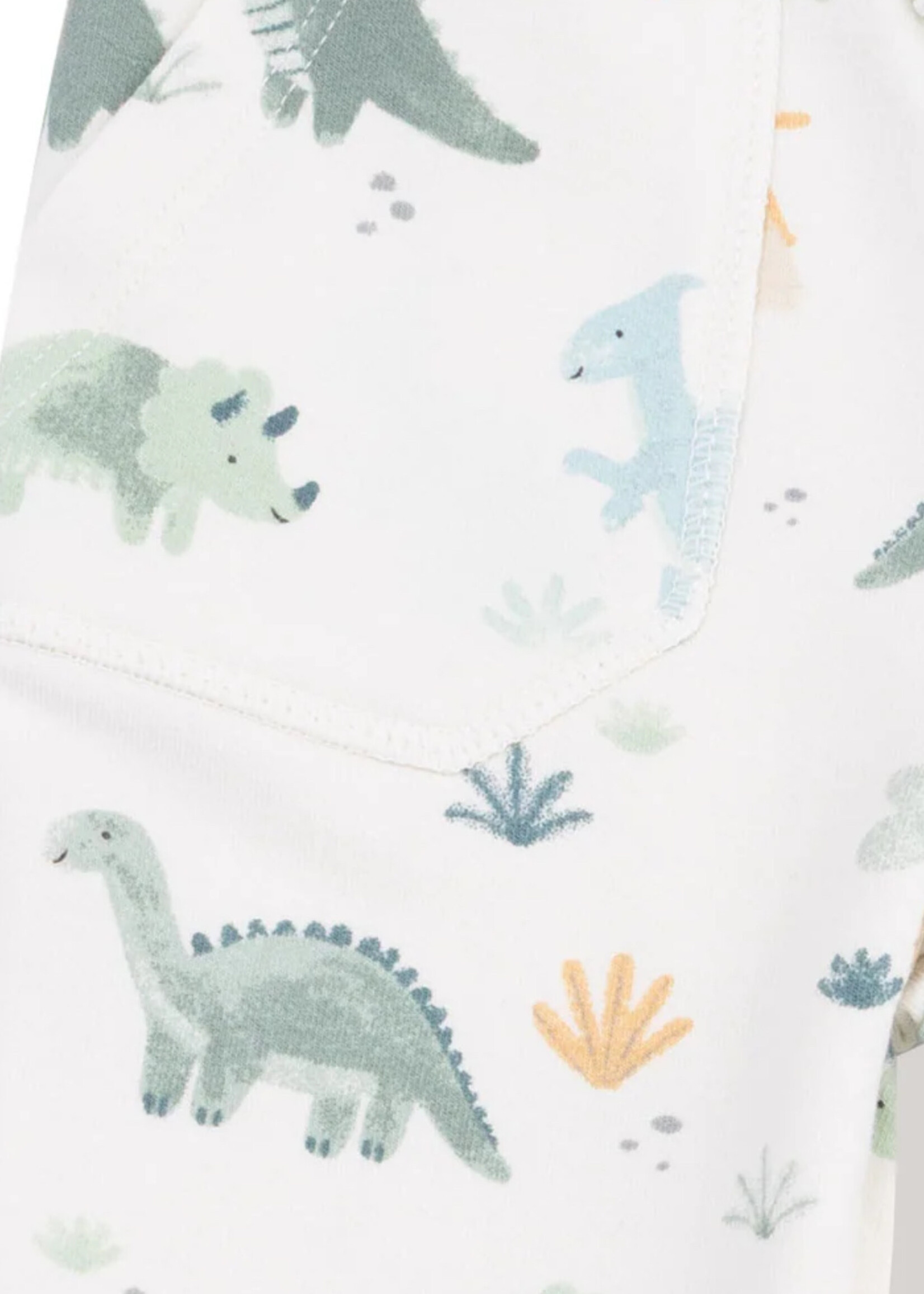 SOFT DINOS HOODIE AND JOGGER