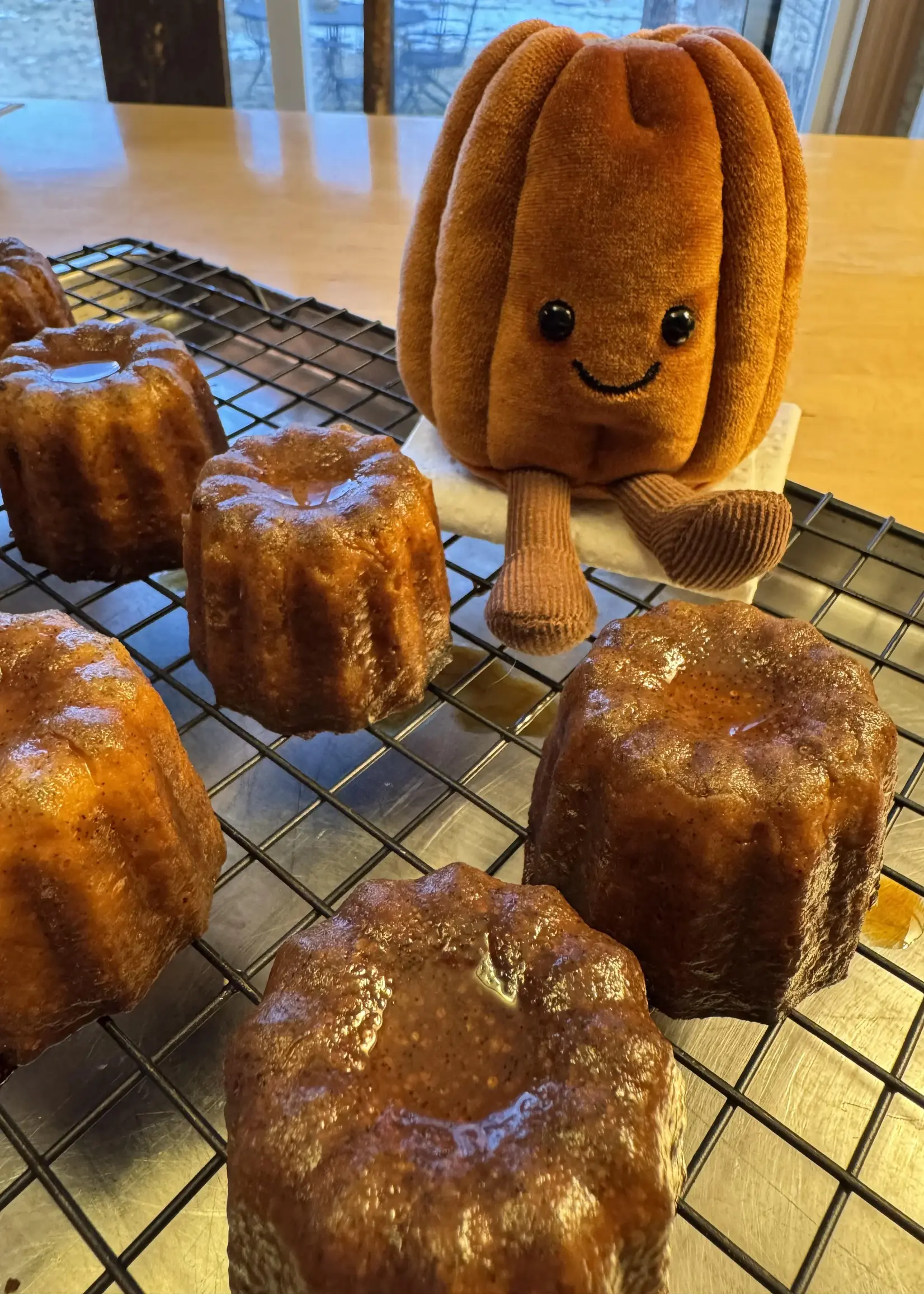 AMUSEABLES CAROLE CANELE