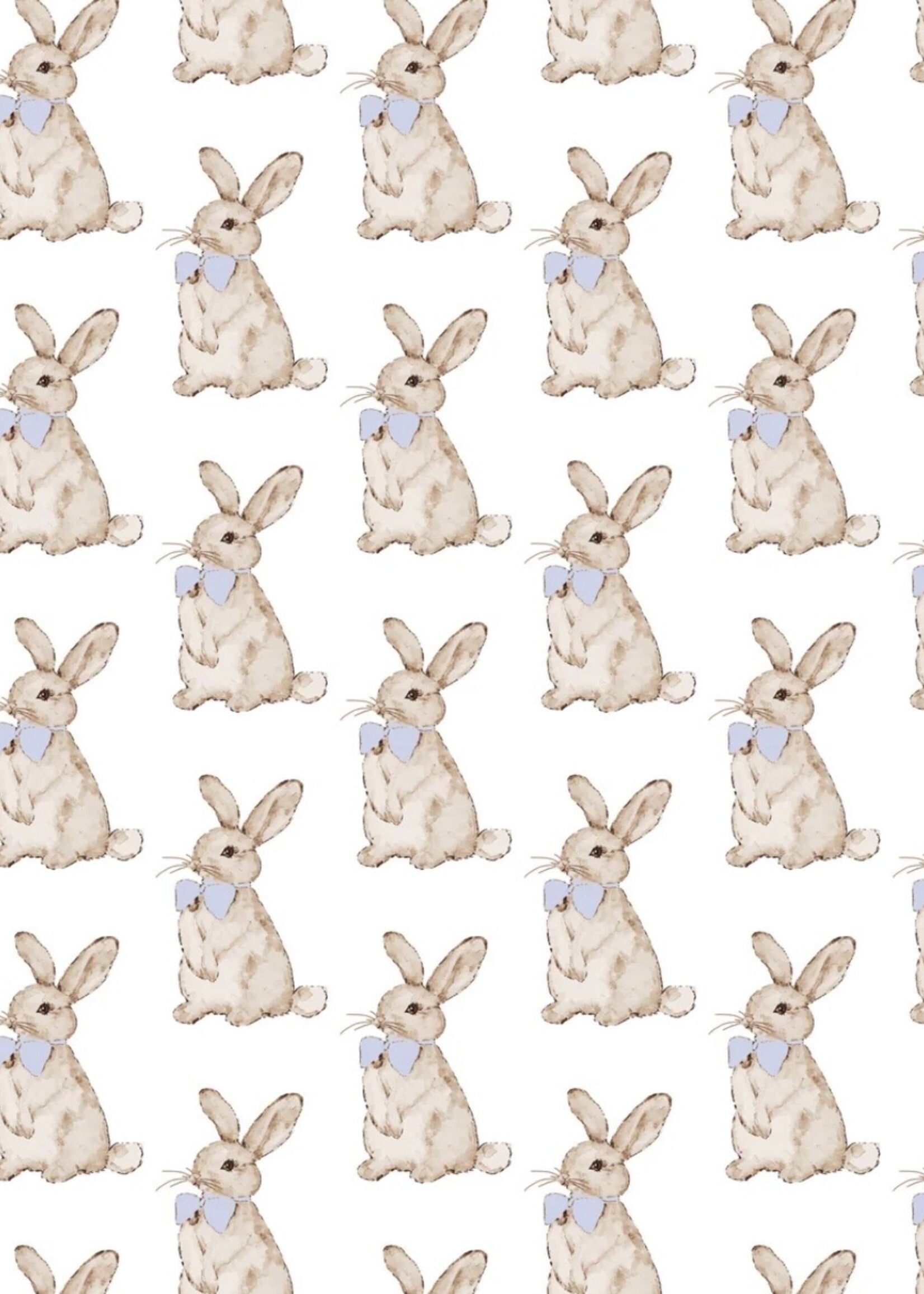 BLUE EASTER BUNNIES PARKER