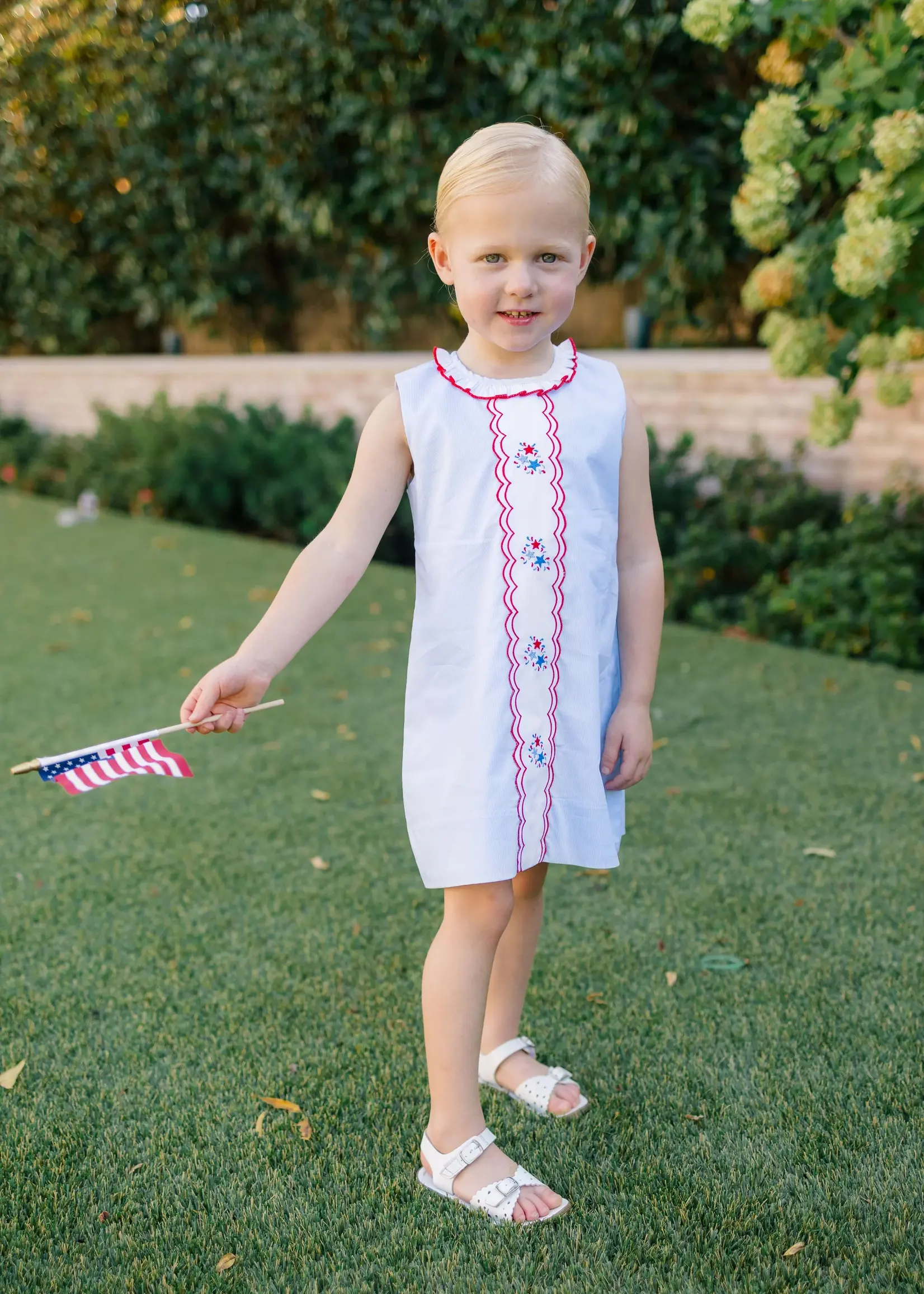 REVERE FIREWORKS DRESS