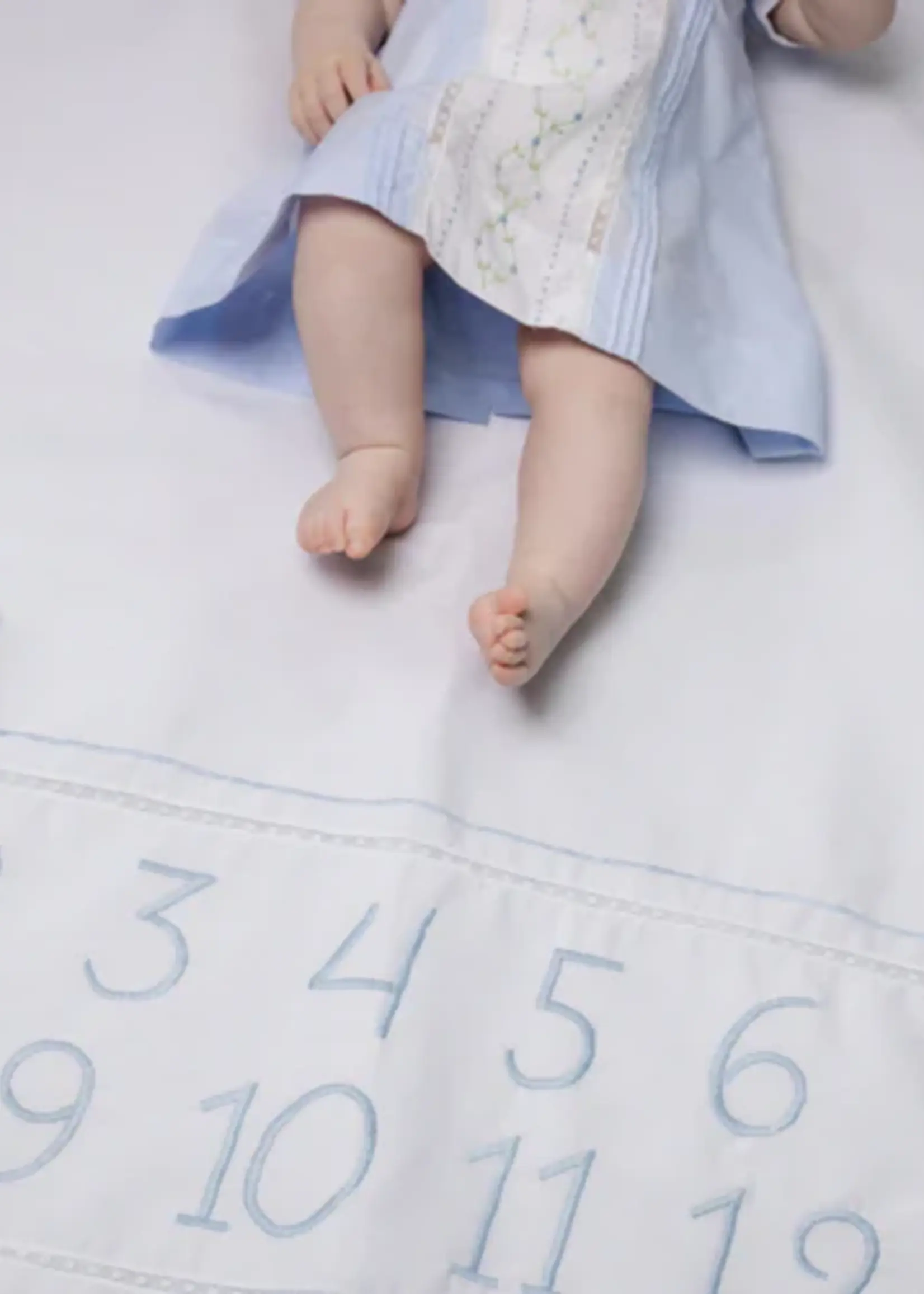 MILESTONE BLANKET (BLUE OR PINK)