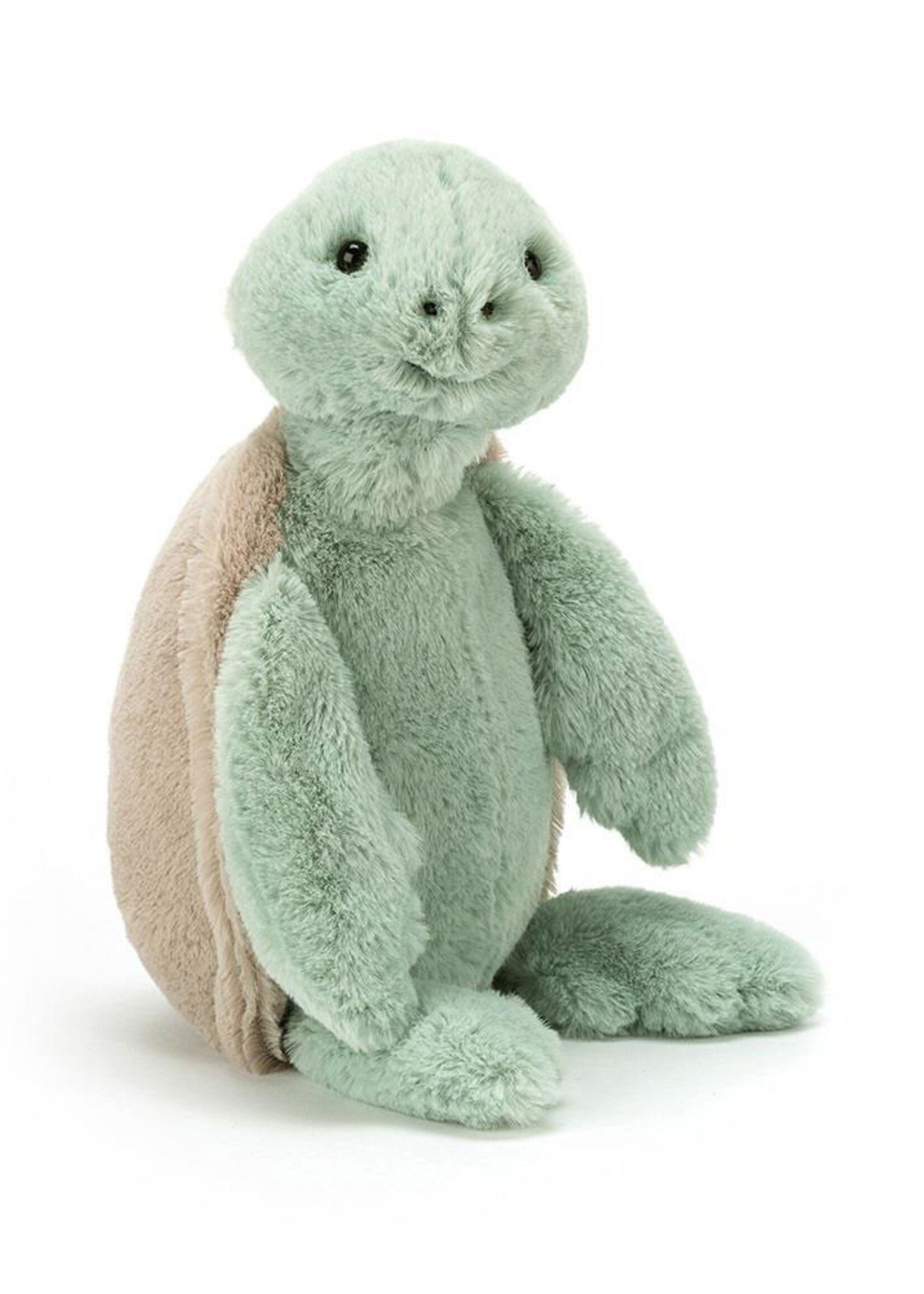 BASHFUL TURTLE MEDIUM