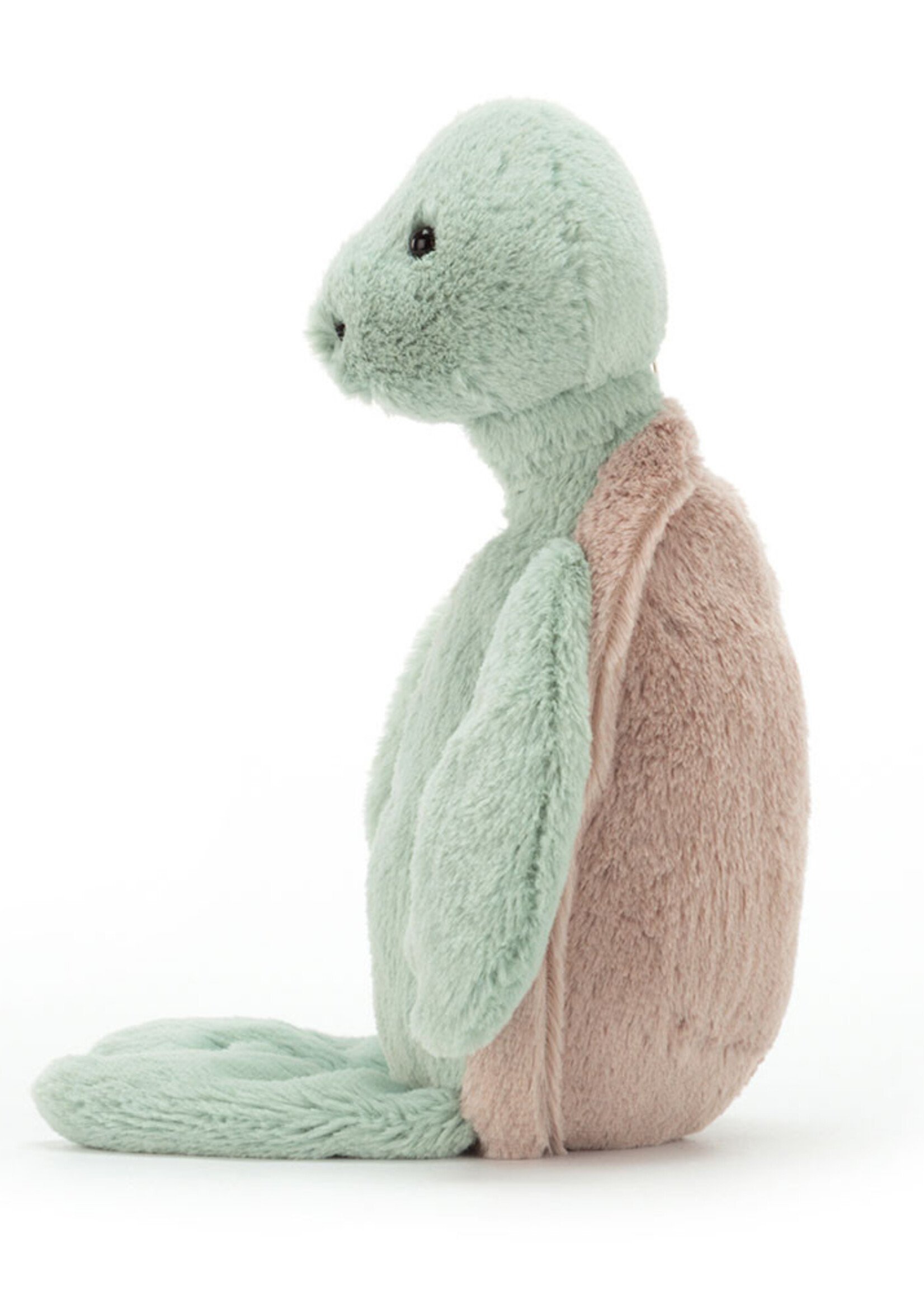 BASHFUL TURTLE MEDIUM