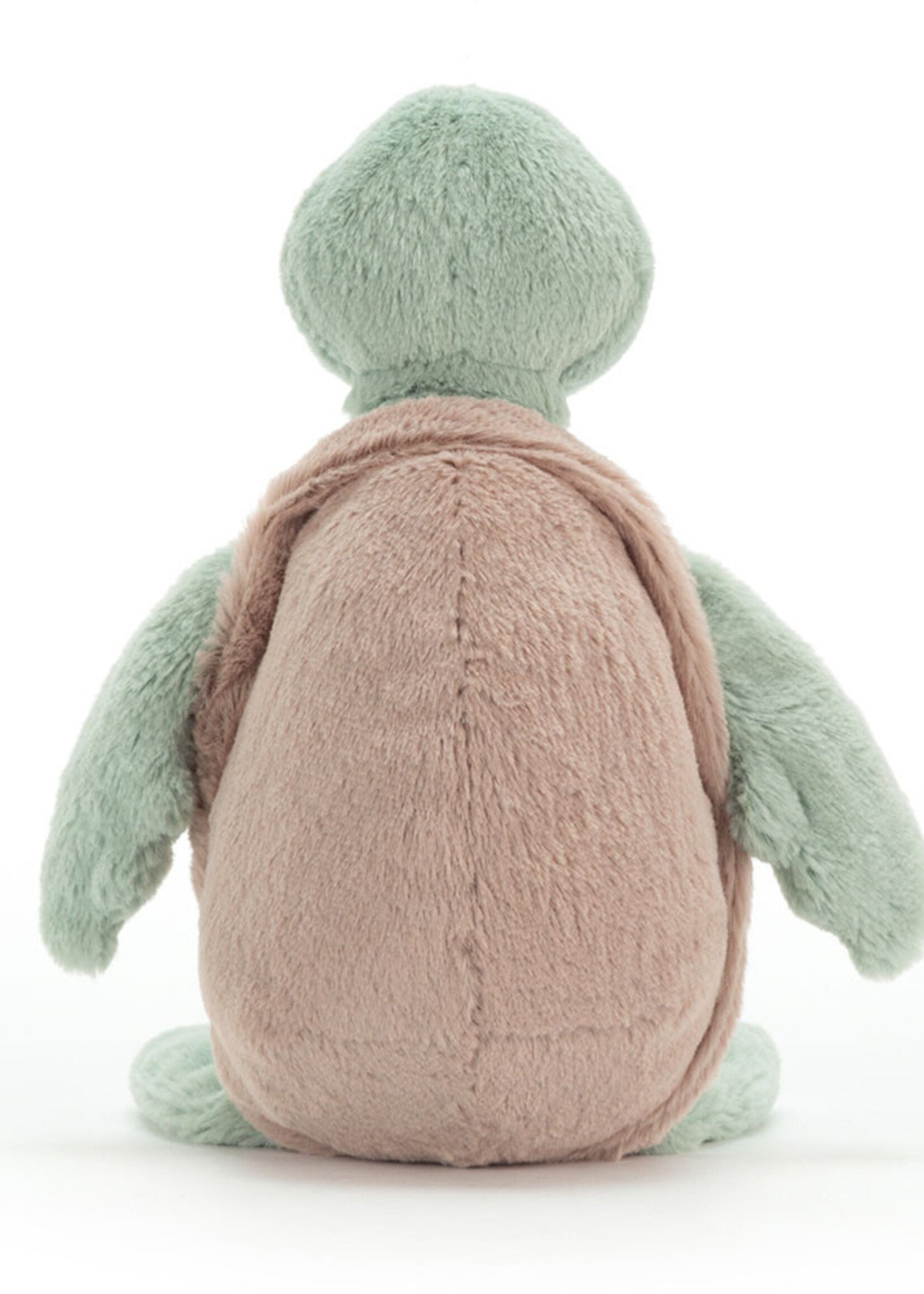 BASHFUL TURTLE MEDIUM