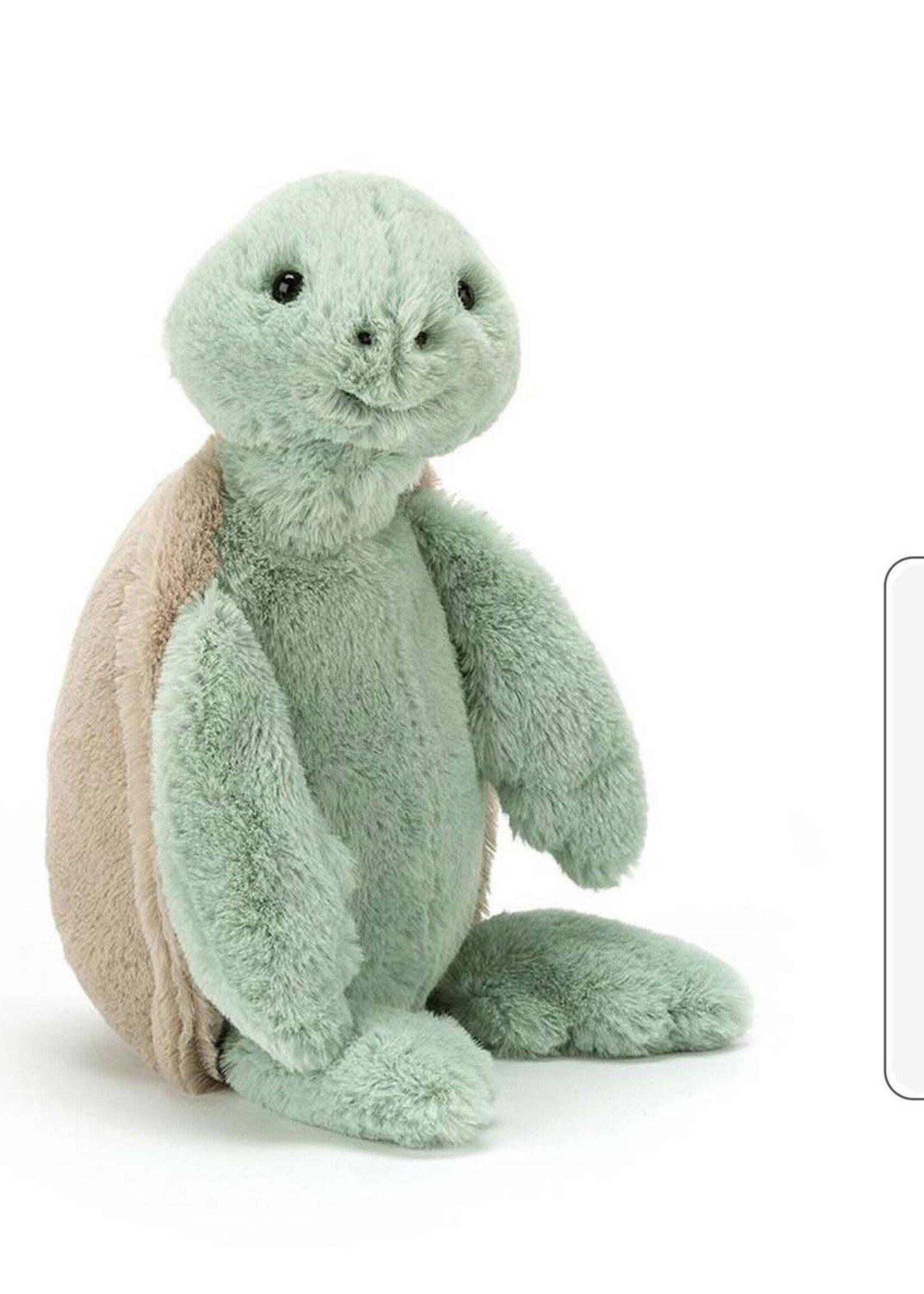 BASHFUL TURTLE MEDIUM