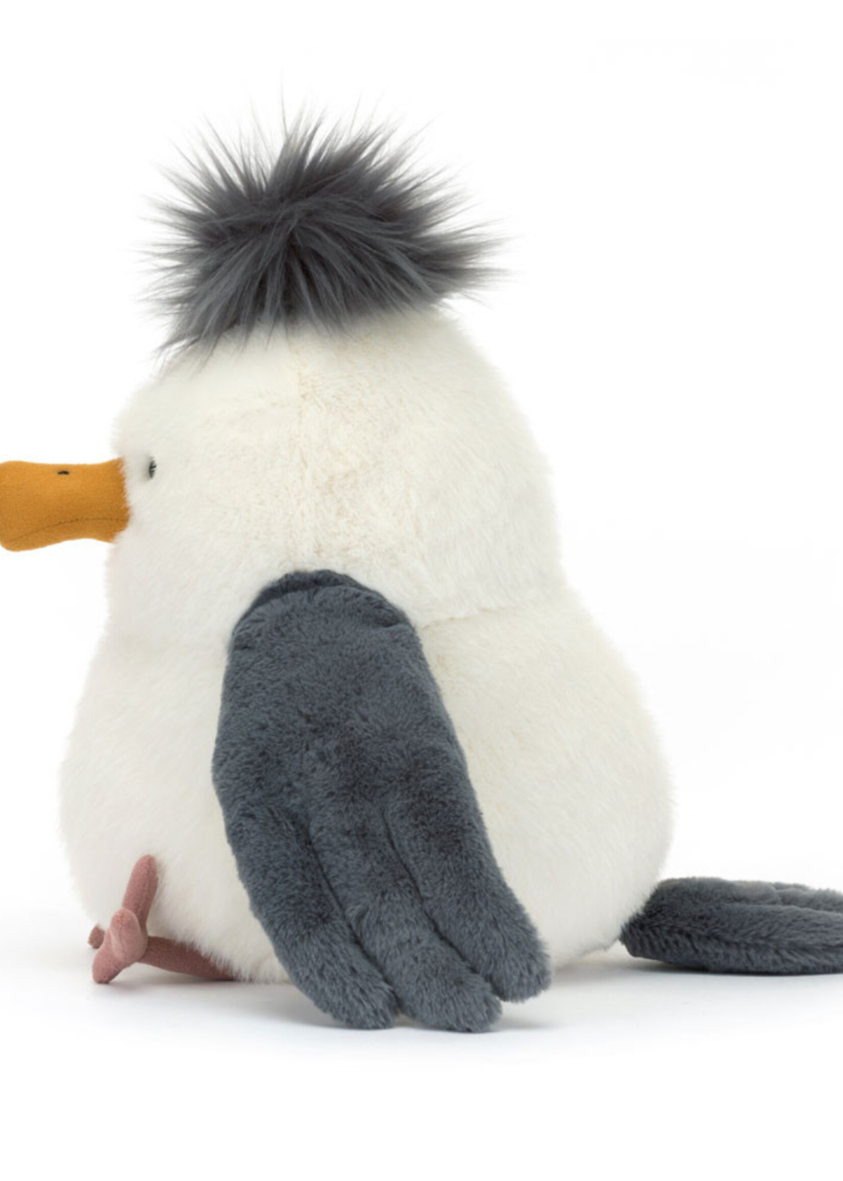 CHIP SEAGULL