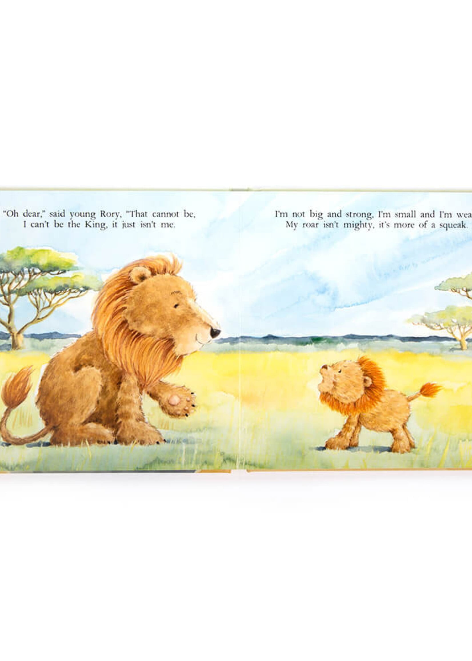 THE VERY BRAVE LION BOOK