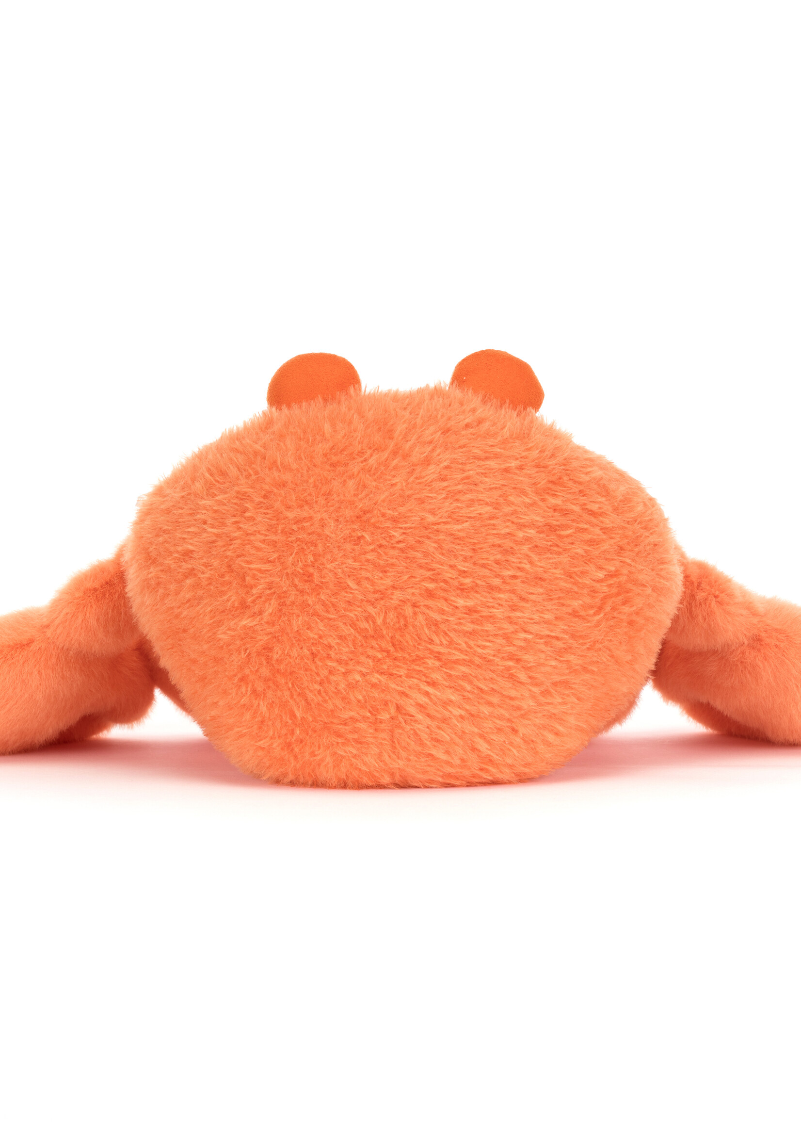 PINCHSNAP CRAB