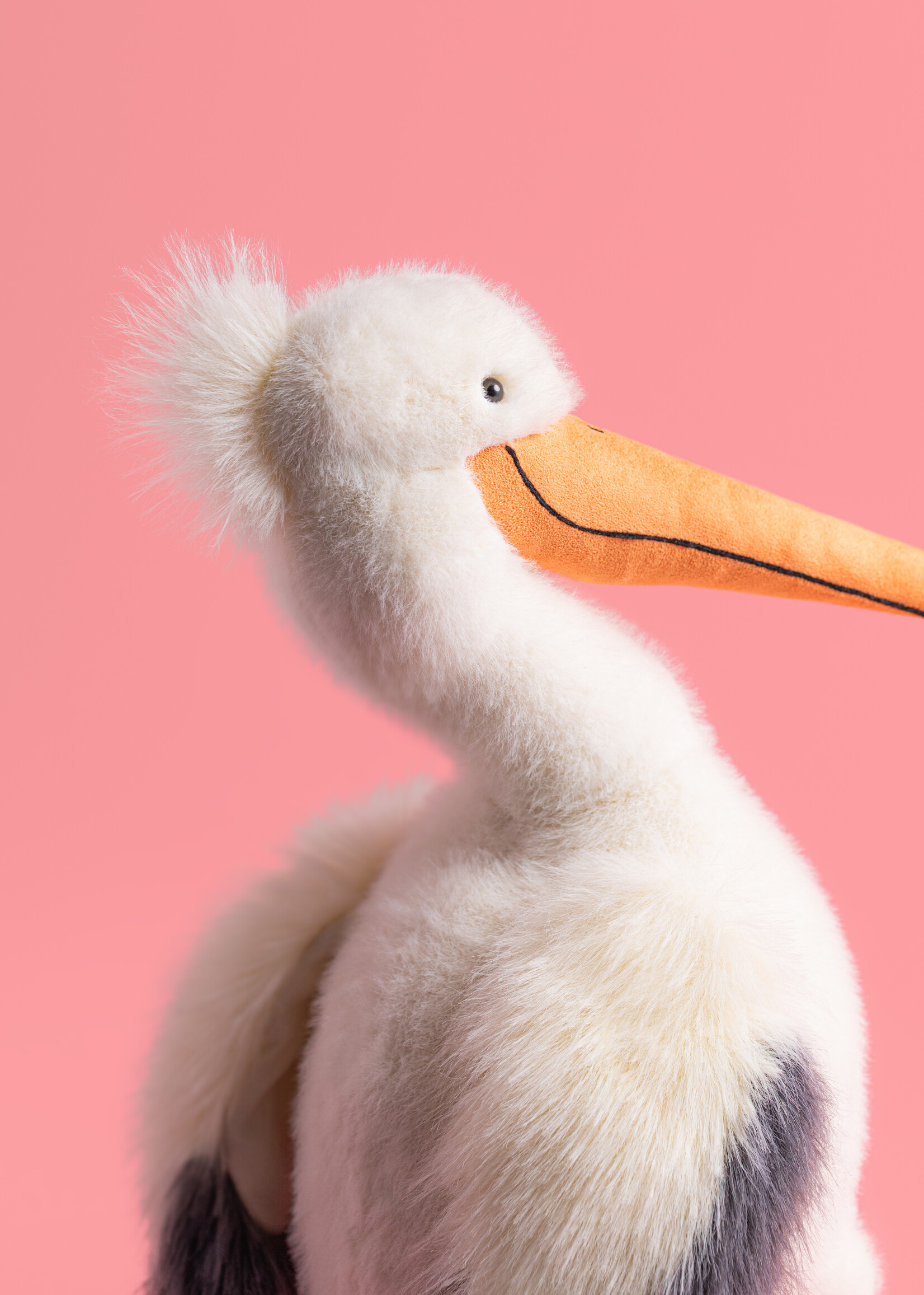 KELI PELICAN