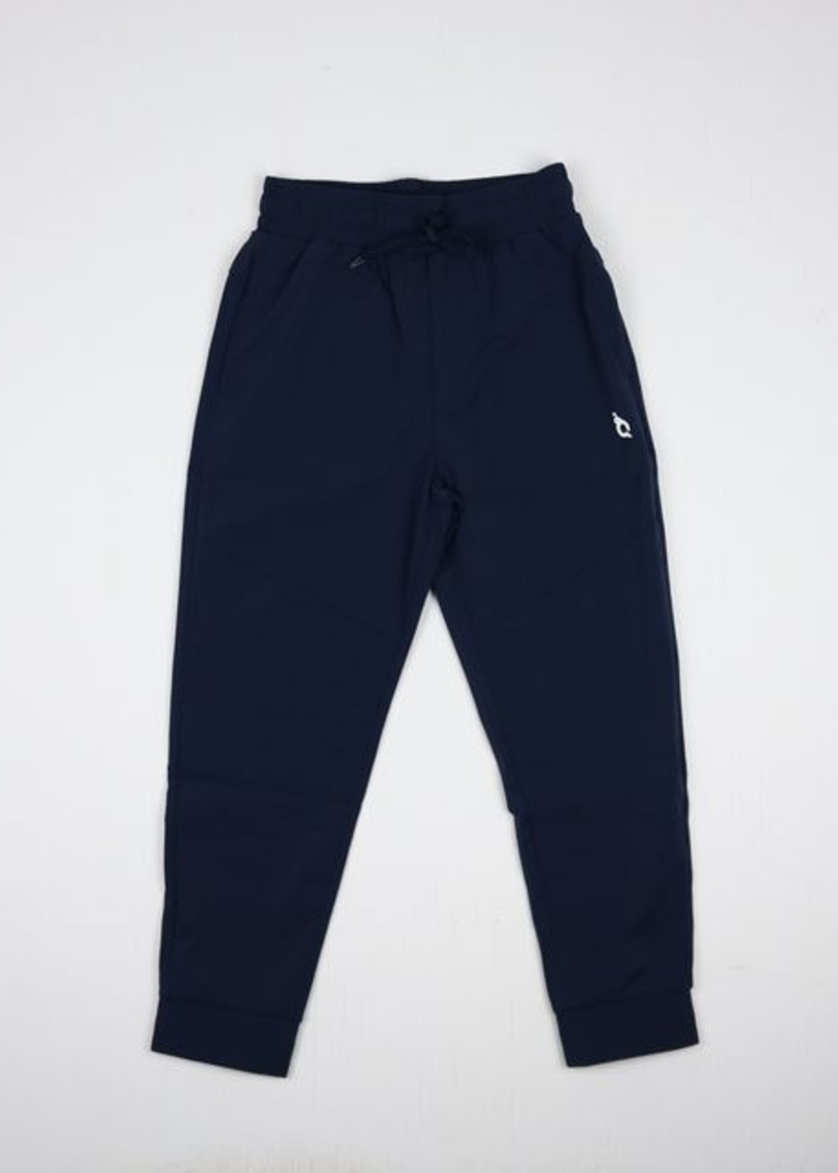 NAVY PERFORMANCE JOGGERS