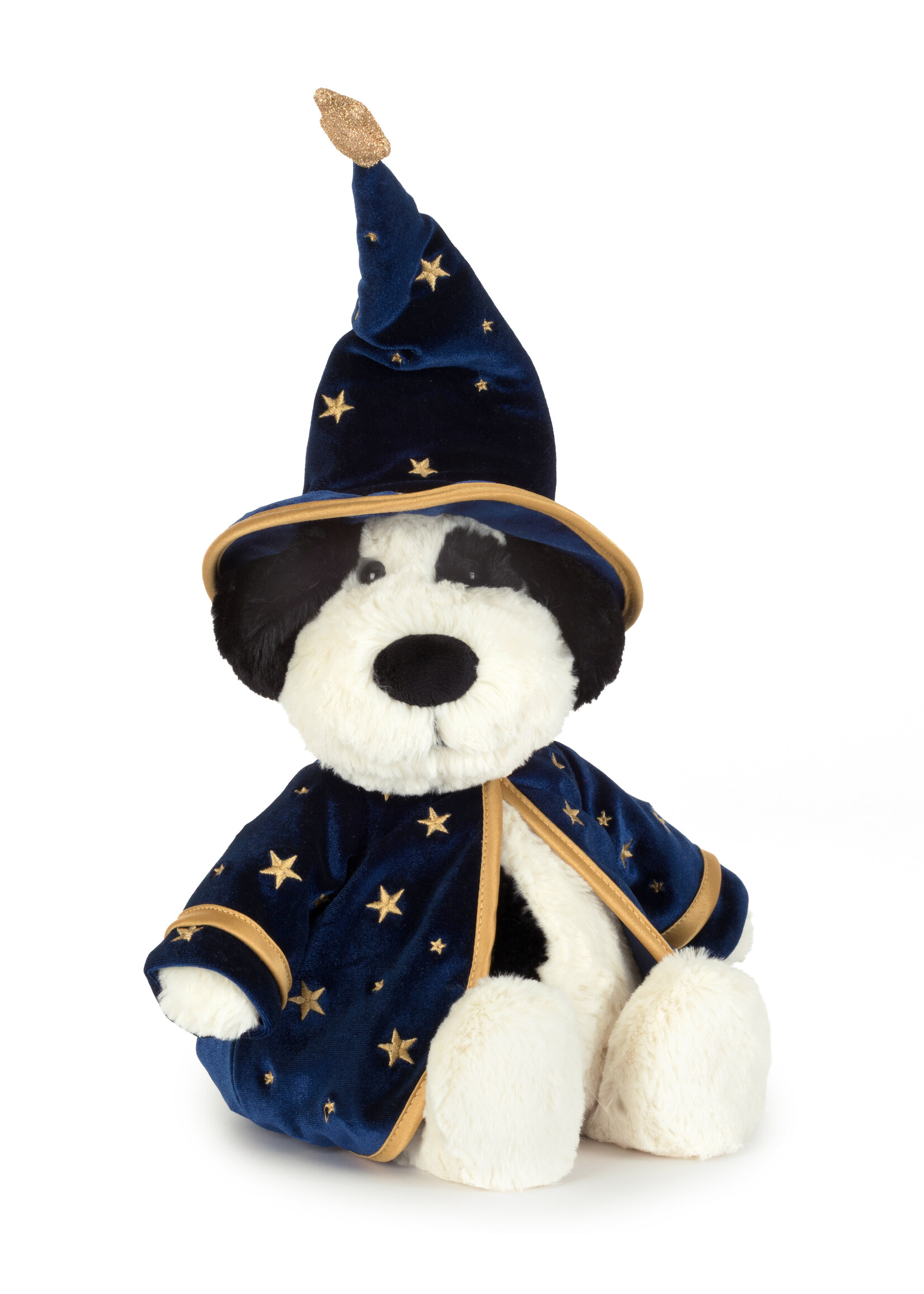 RUFFERTY PUPPY WIZARD OUTFIT