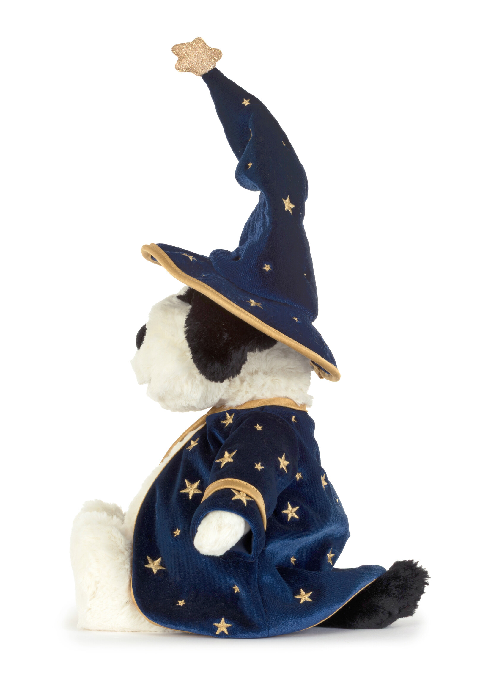 RUFFERTY PUPPY WIZARD OUTFIT
