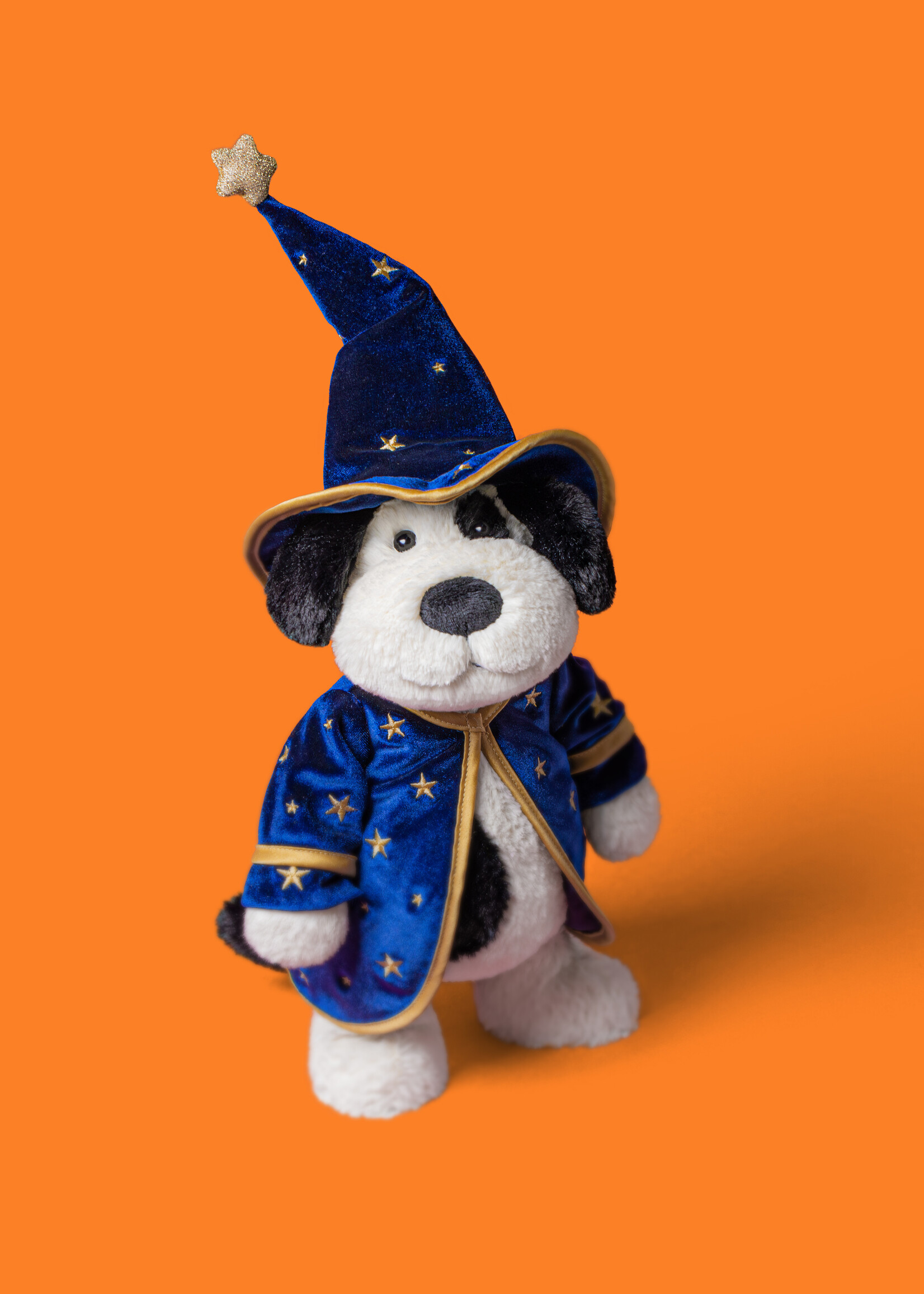 RUFFERTY PUPPY WIZARD OUTFIT