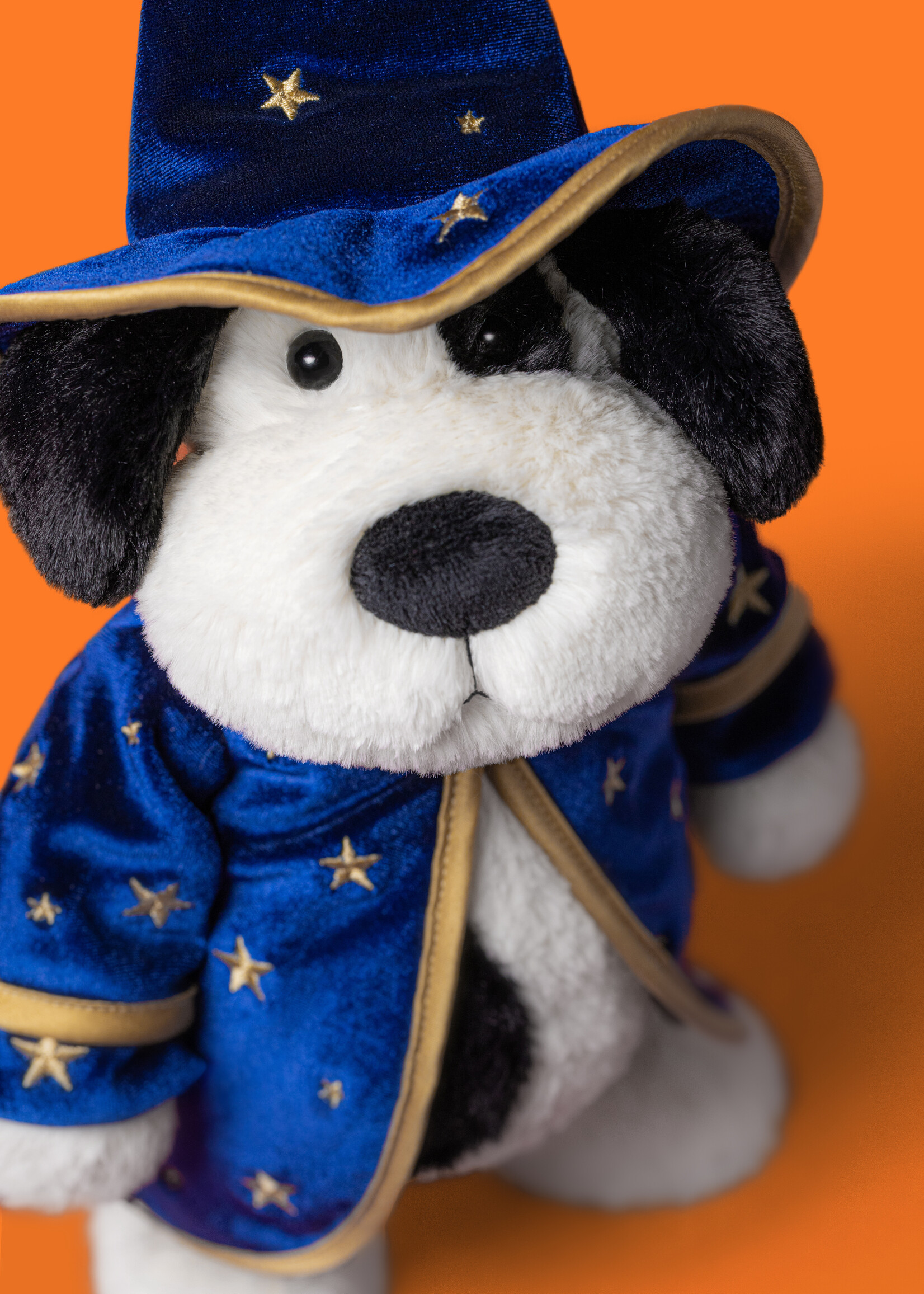 RUFFERTY PUPPY WIZARD OUTFIT