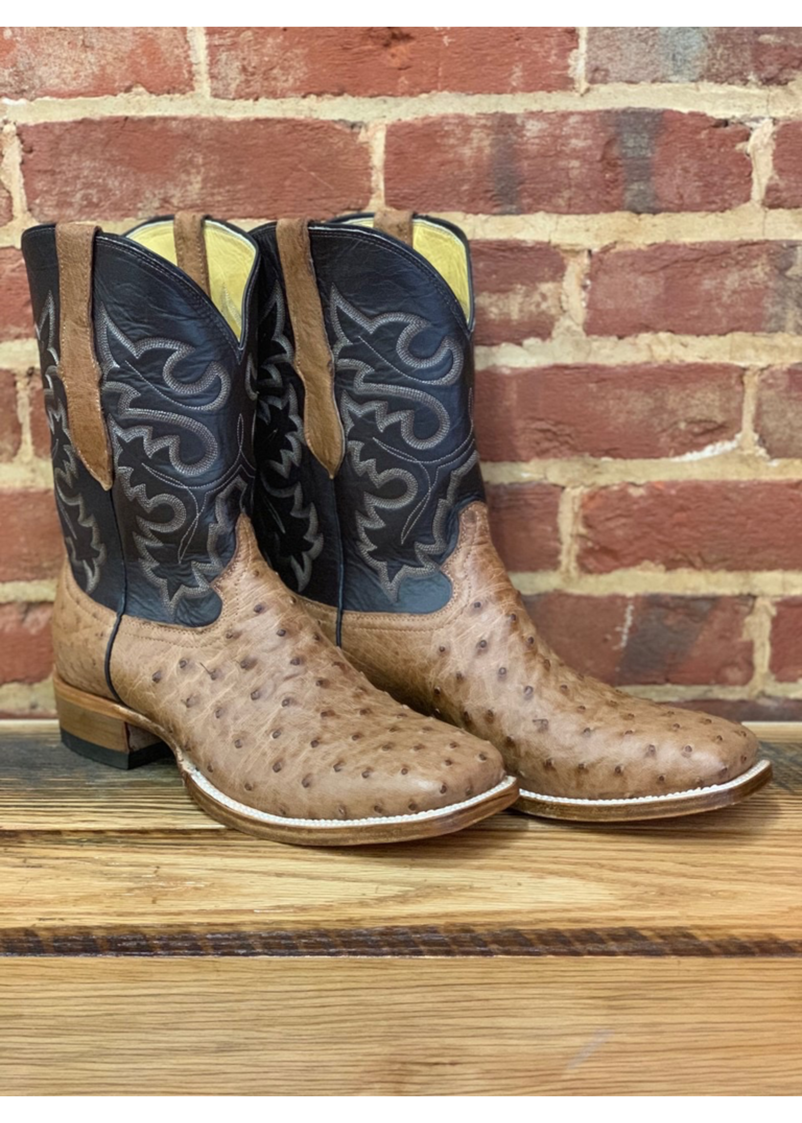 COWTOWN  Full Quill Ostritch