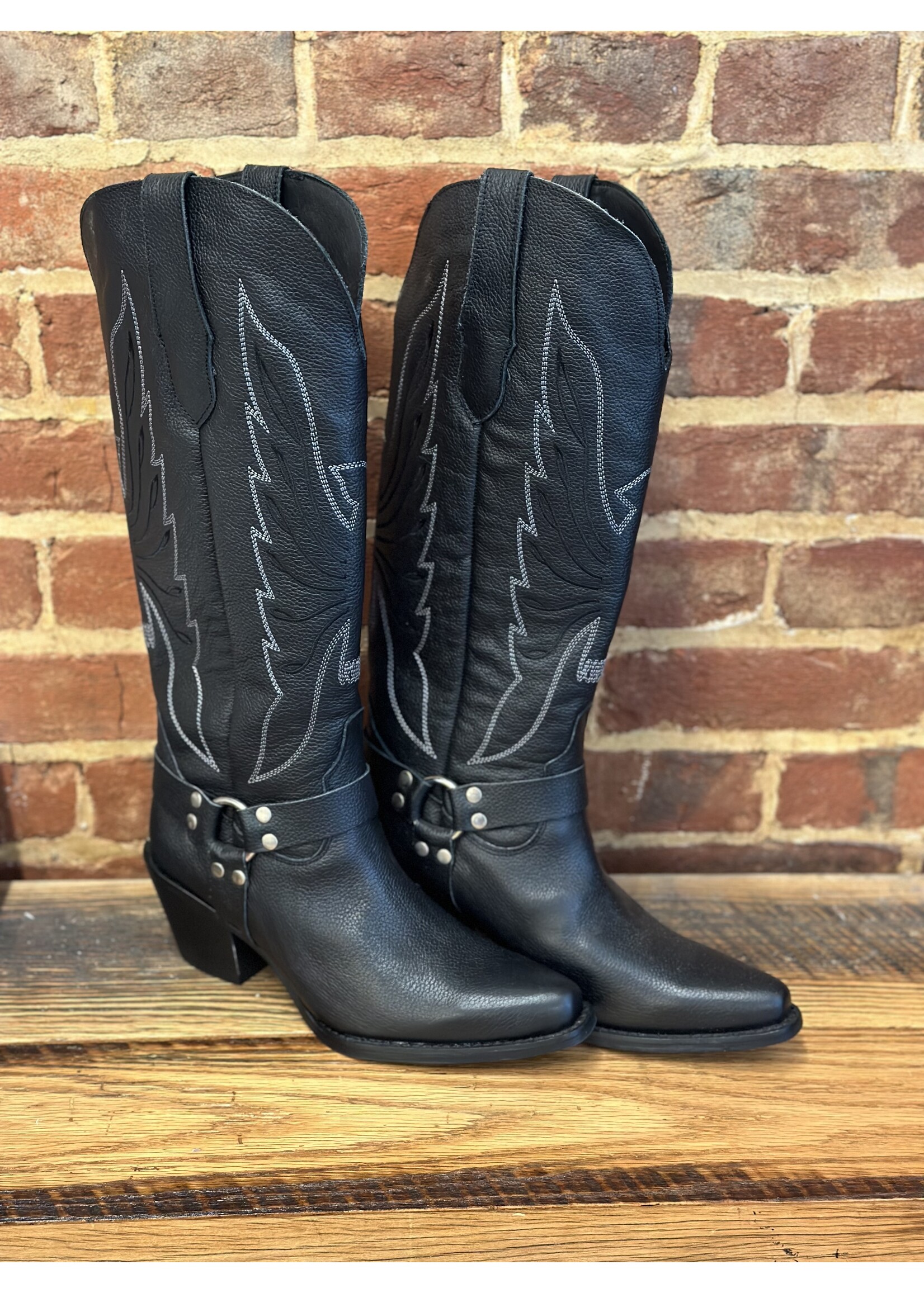 Dingo Dingo DI926 Heavens to Betsy Black Boot