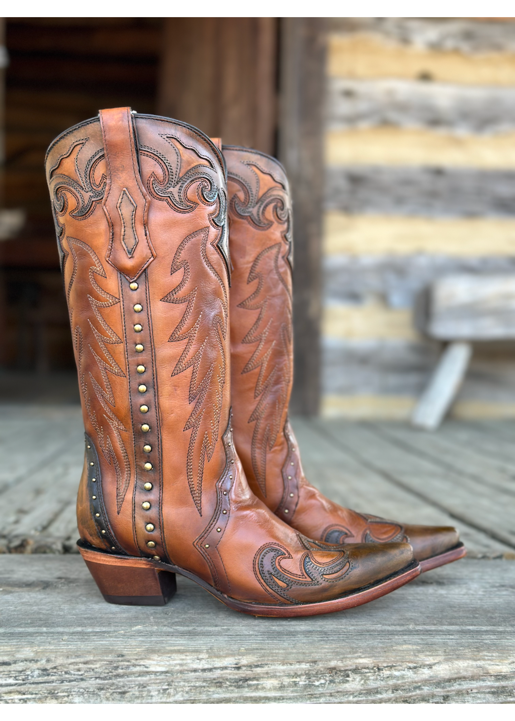 Corral Corral F1362  Honey/Blk Wingtip Boot