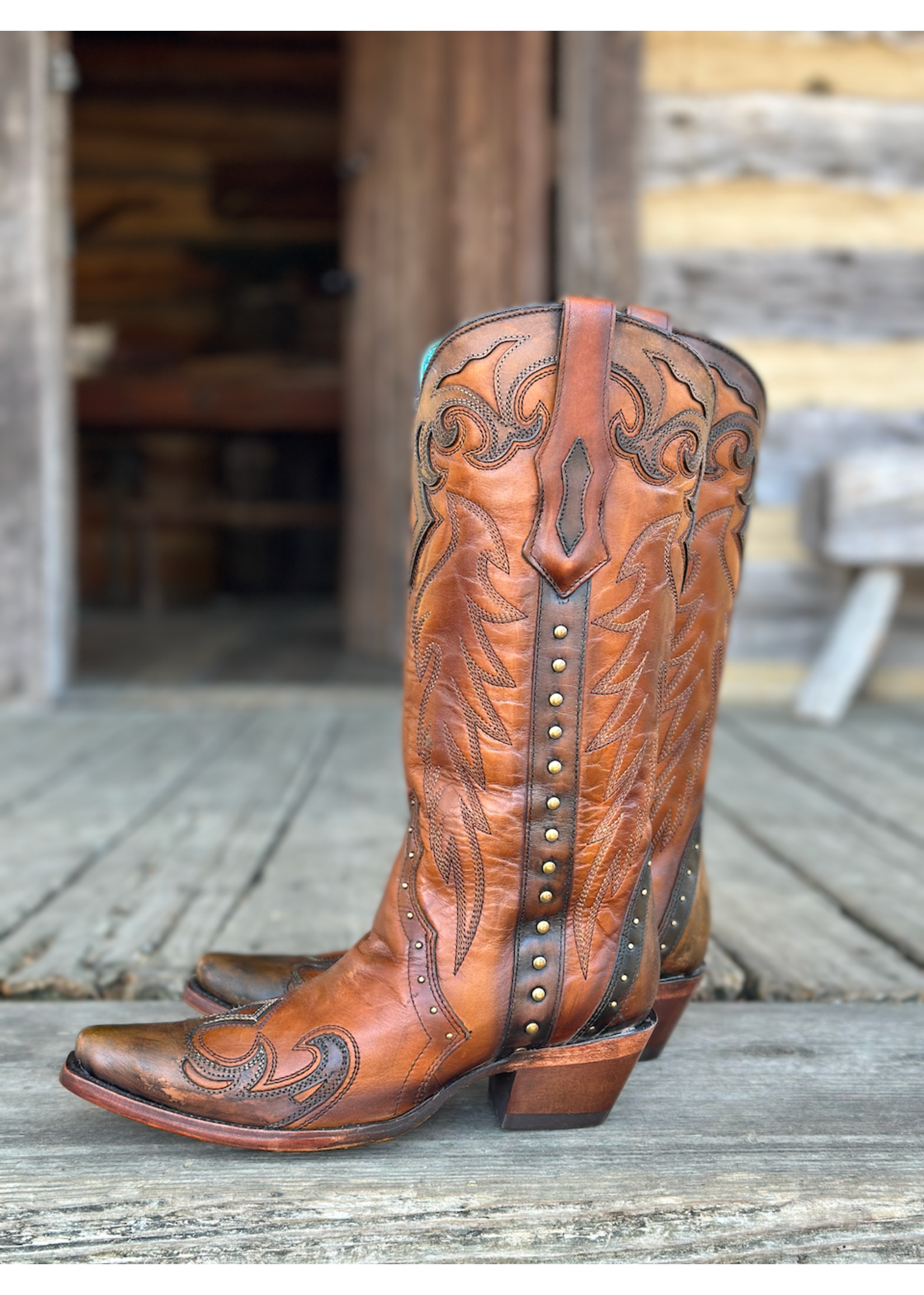 Corral Corral F1362  Honey/Blk Wingtip Boot