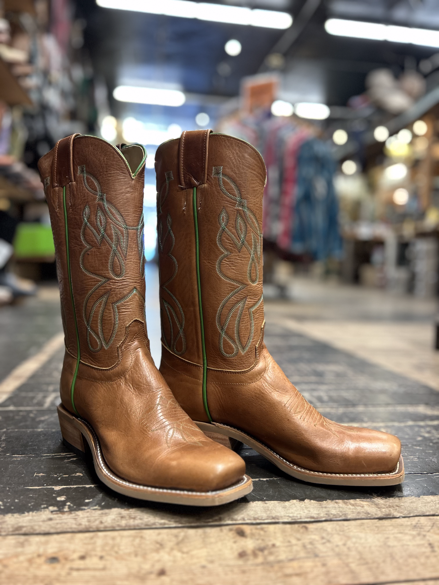 Olathe 257670 Sunflower Galega Hewlett Dunn