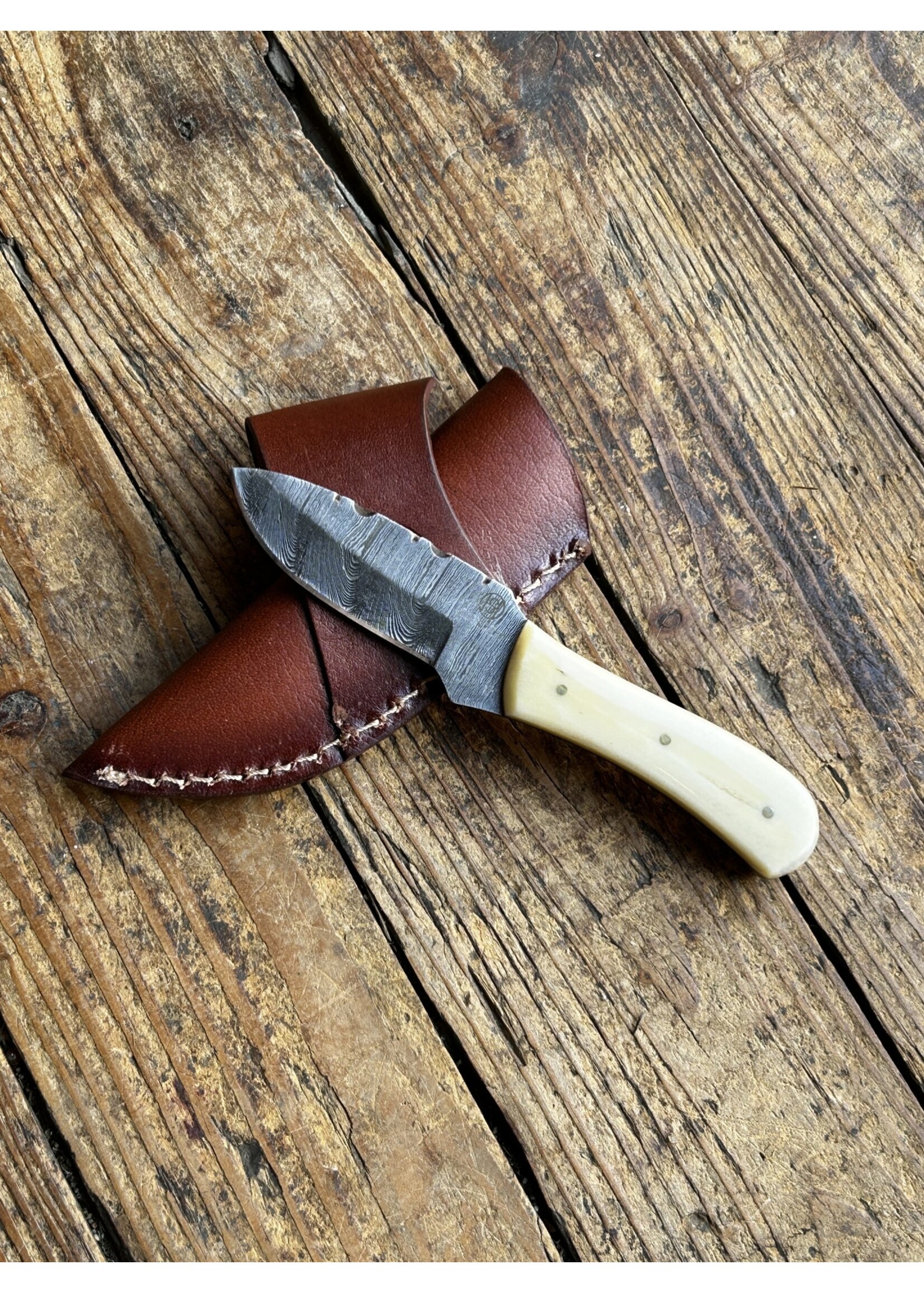 Circle SH Cutlery Circle SH Cutlery TXBD-6 Acid Damascus Etched Bone Handle Knife