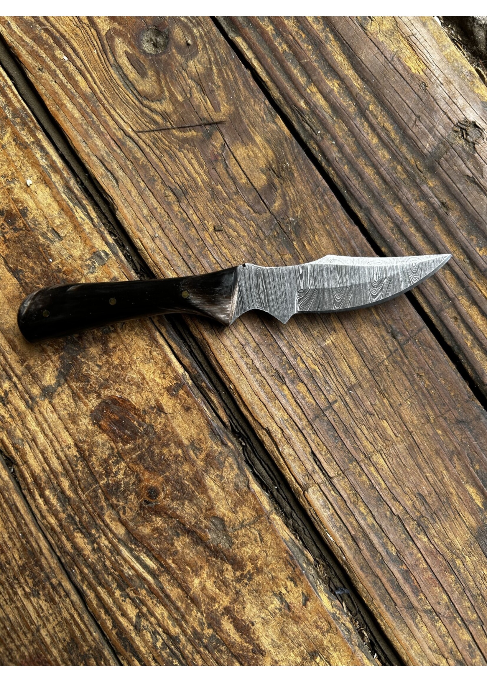 Circle SH Cutlery Circle SH Cutlery CSH-BH Damascus Knife Bull Horn