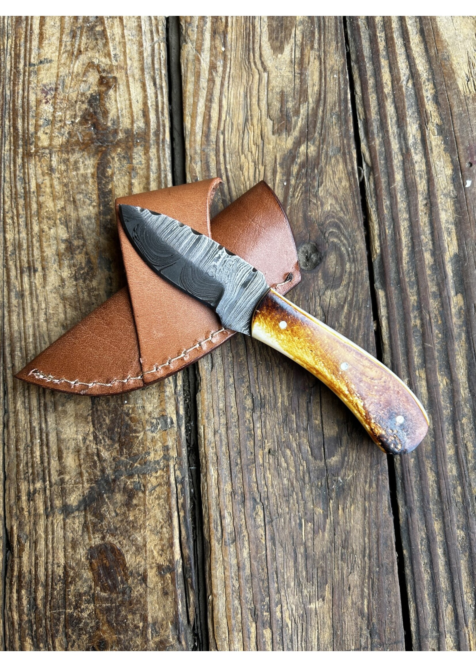 Circle SH Cutlery Circle SH Cutlery TXBBD Burnt Bone Handle Knife