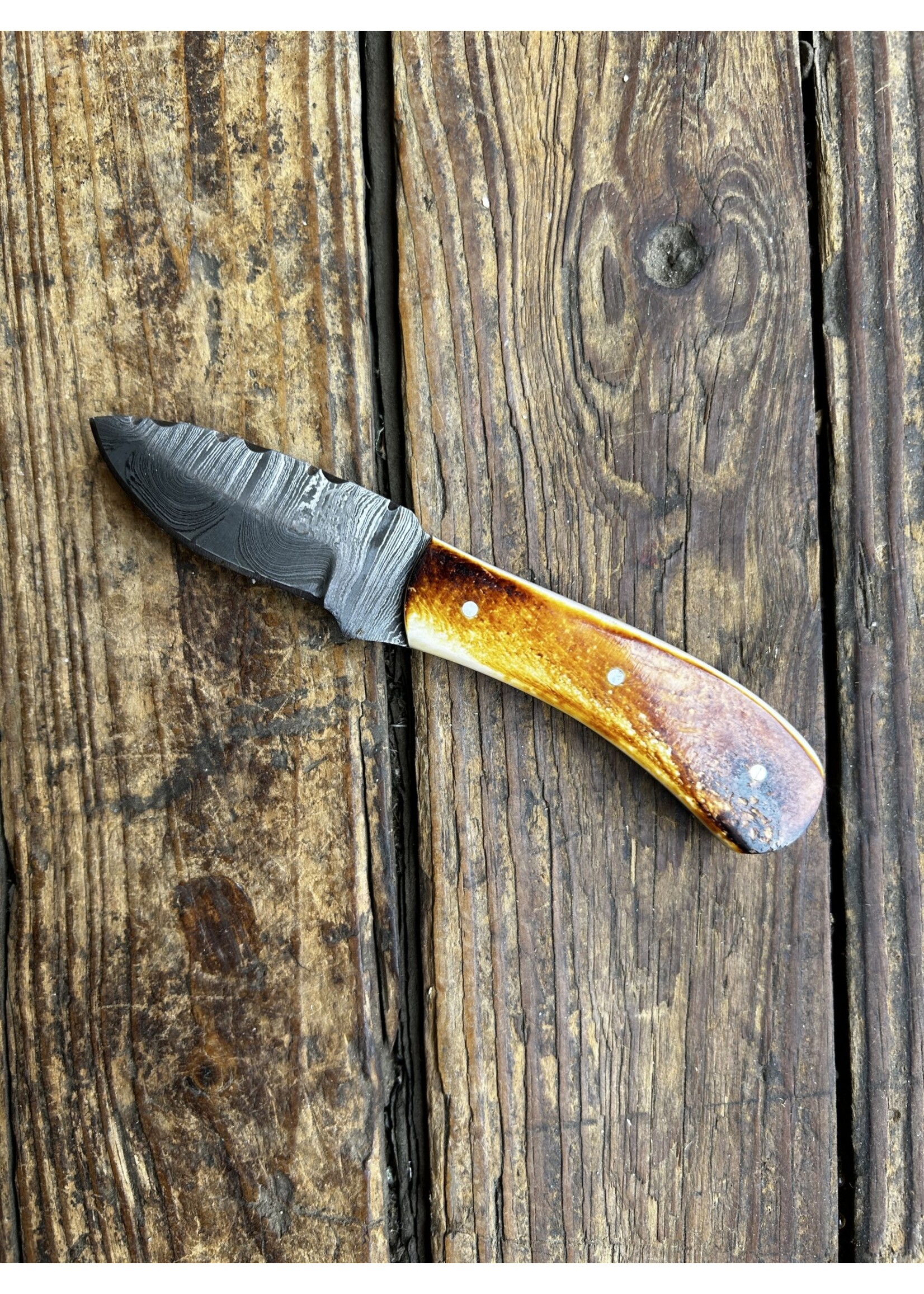 Circle SH Cutlery Circle SH Cutlery TXBBD Burnt Bone Handle Knife