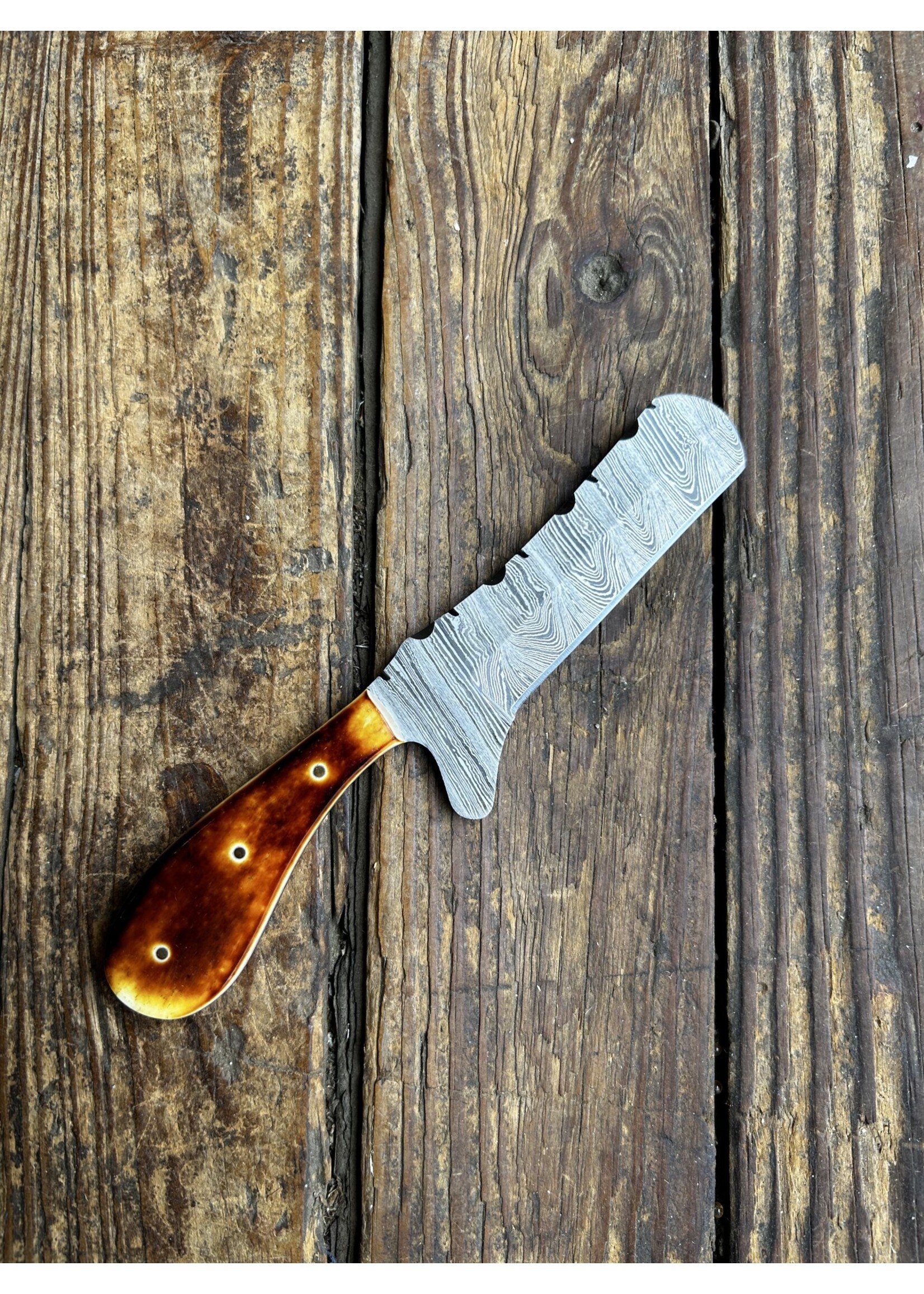 Circle SH Cutlery Circle SH Cutlery TX-003BB Burnt Bone Steering Knife