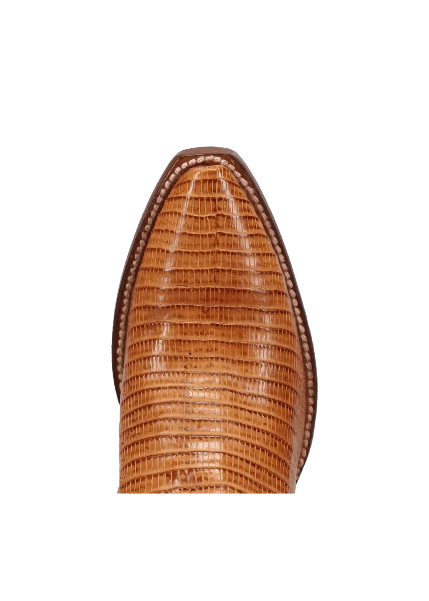 Dan Post Dan Post Celine Teju Lizard Boot