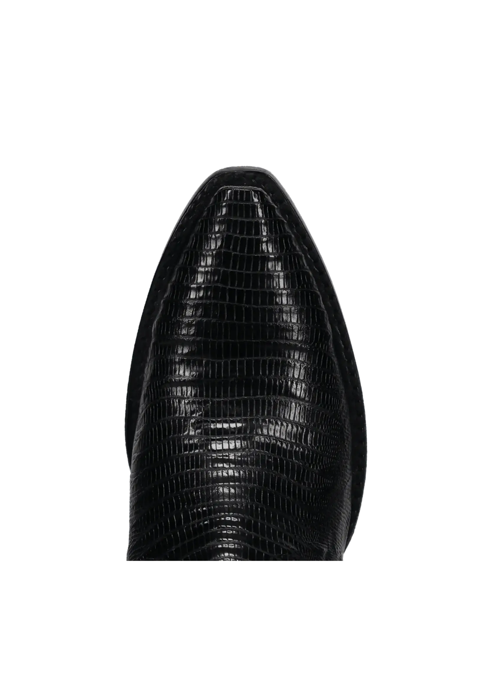 Dan Post Dan Post Celine Teju Lizard Boot