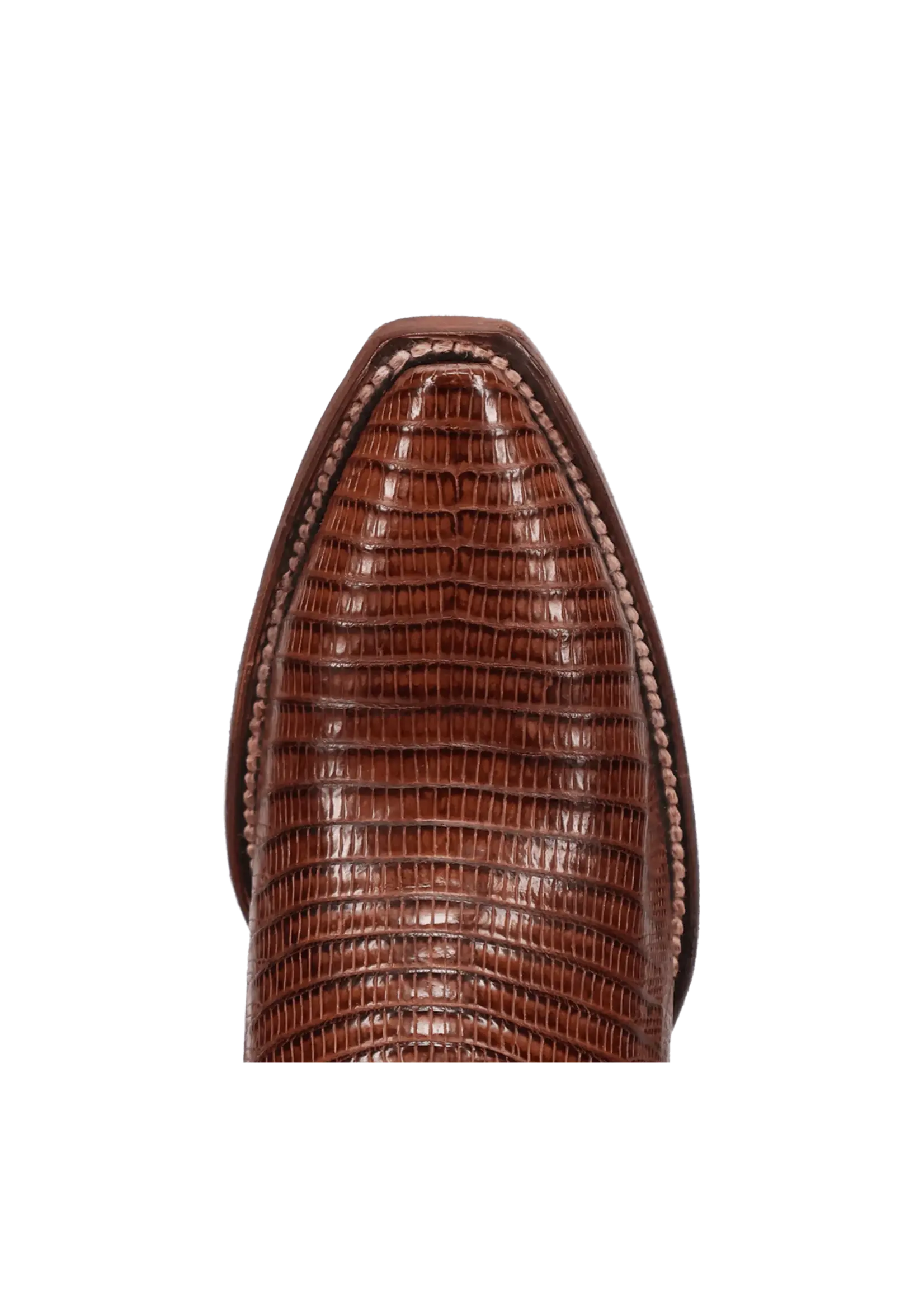 Dan Post Dan Post Celine Teju Lizard Boot