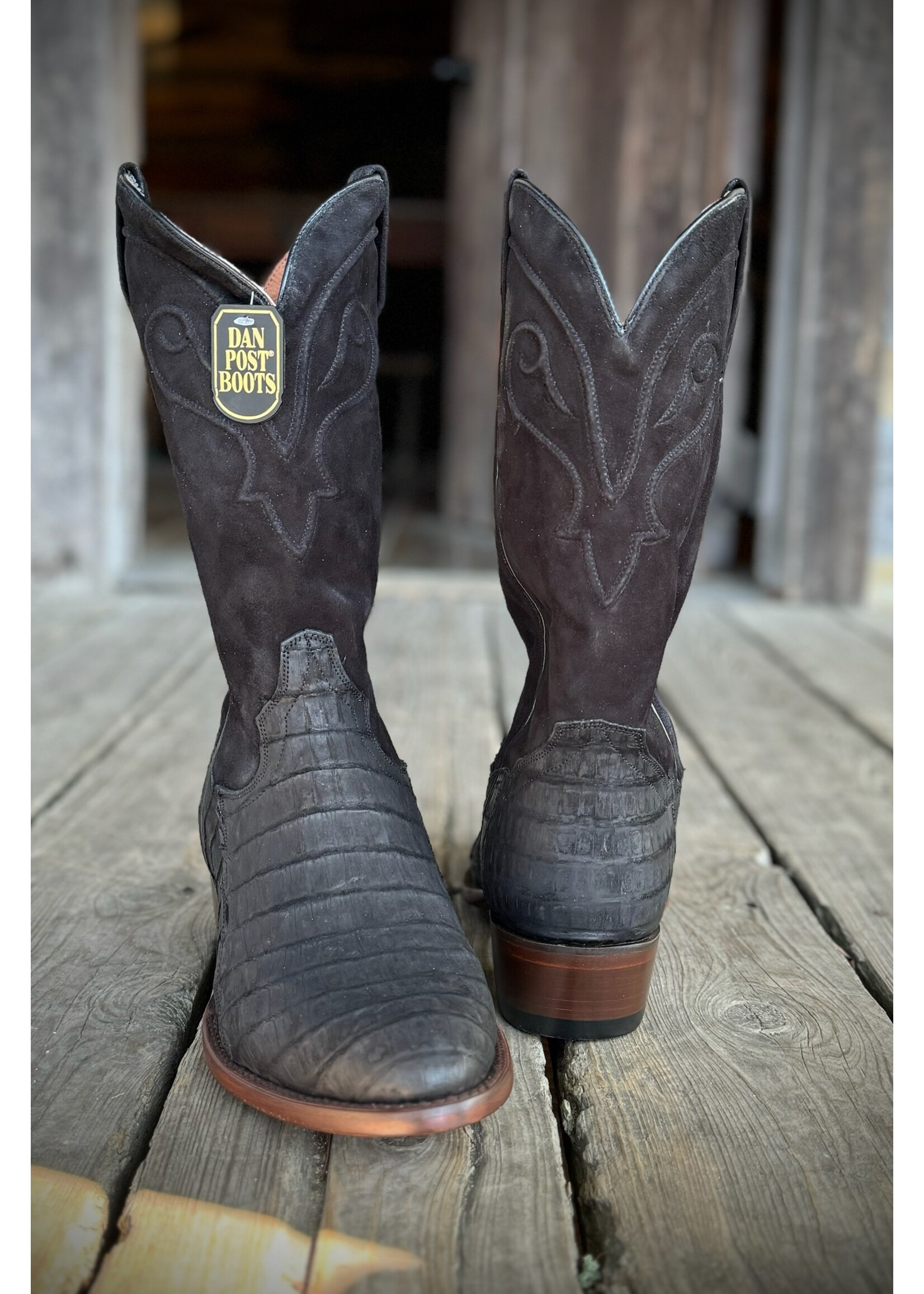 Dan Post Dan Post  Alvis Sueded Caiman Boot