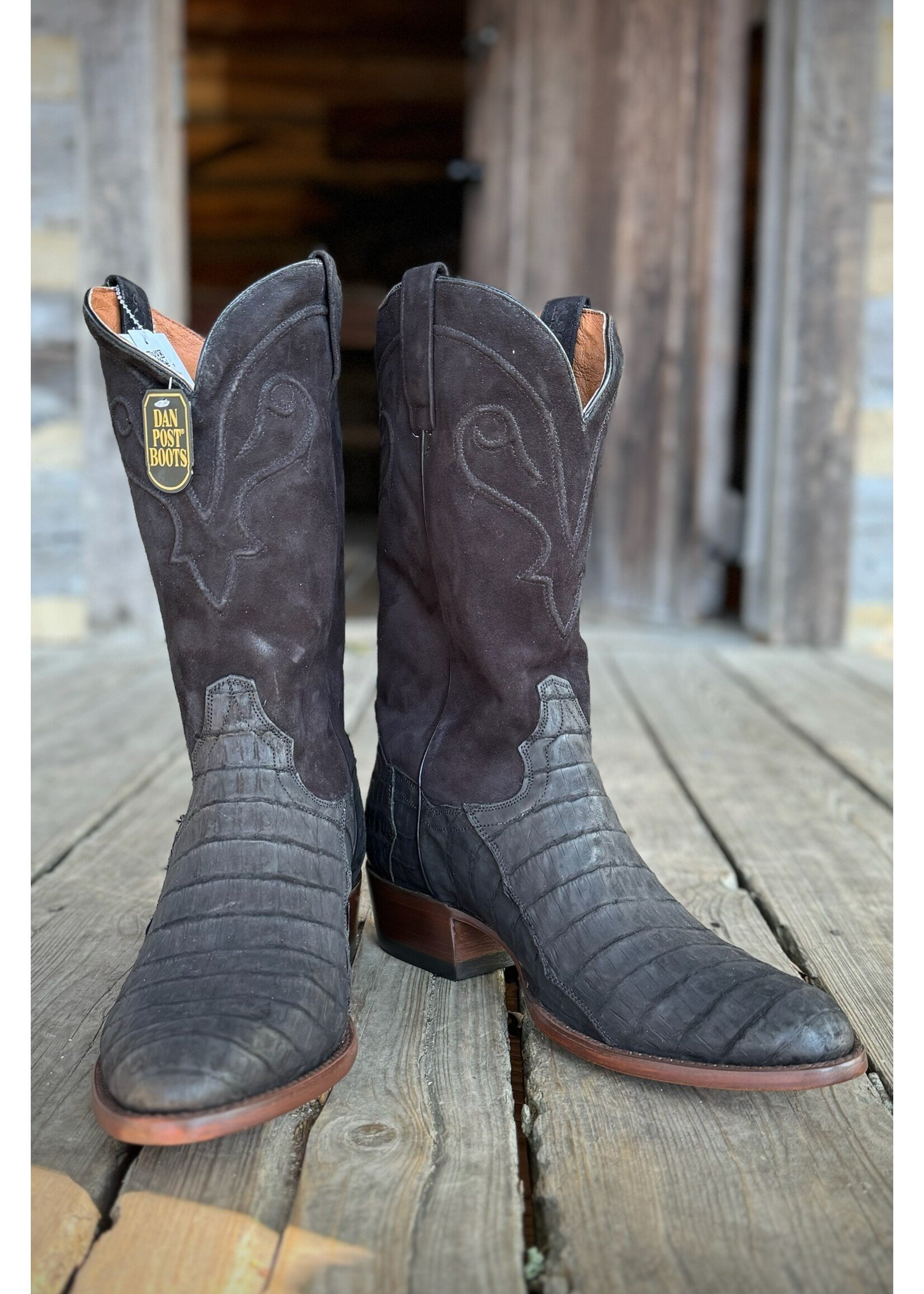 Dan Post Dan Post  Alvis Sueded Caiman Boot