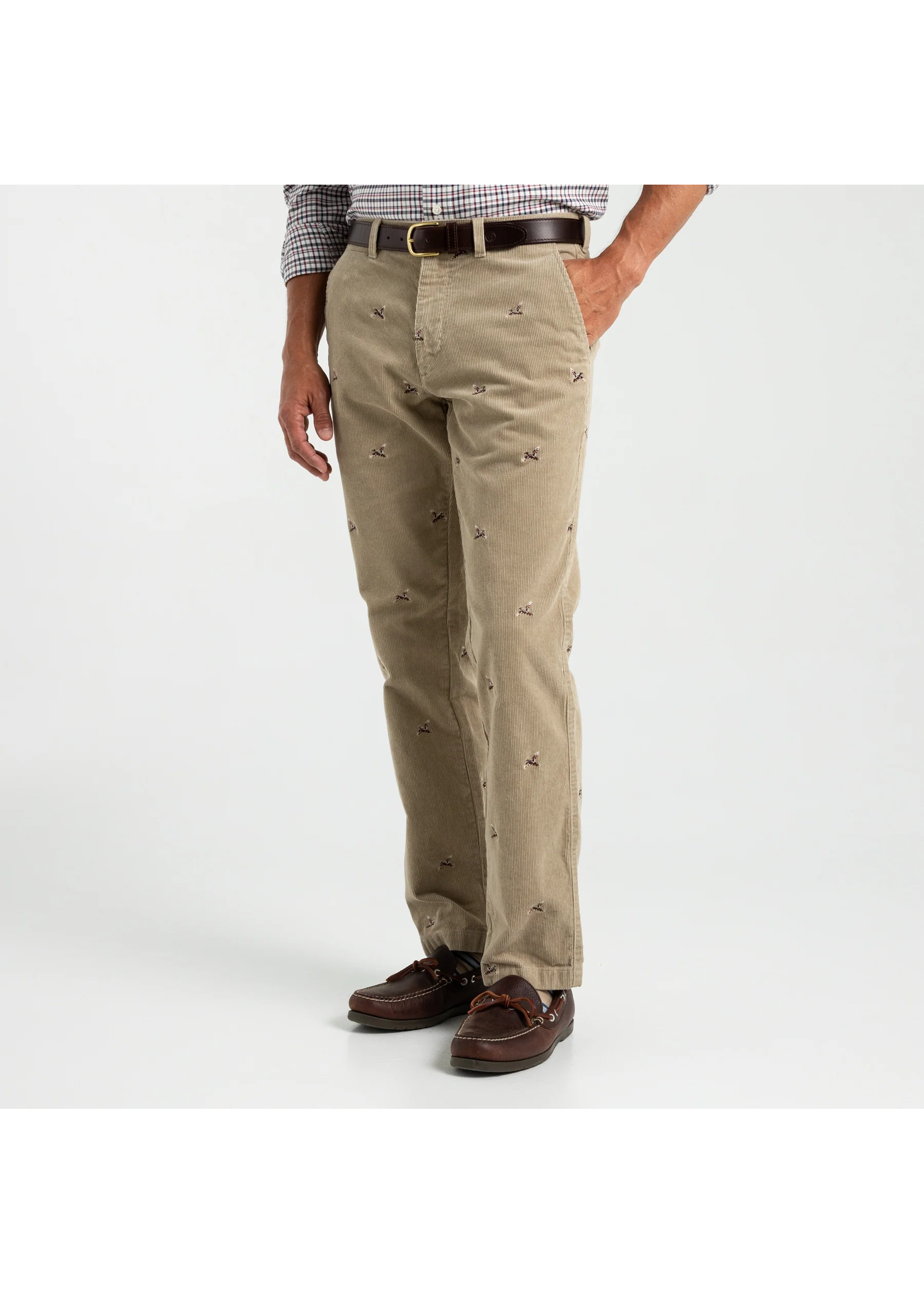 Duck Head Duck Head D91029 Bradbury Wide-Wale Corduroy Chino