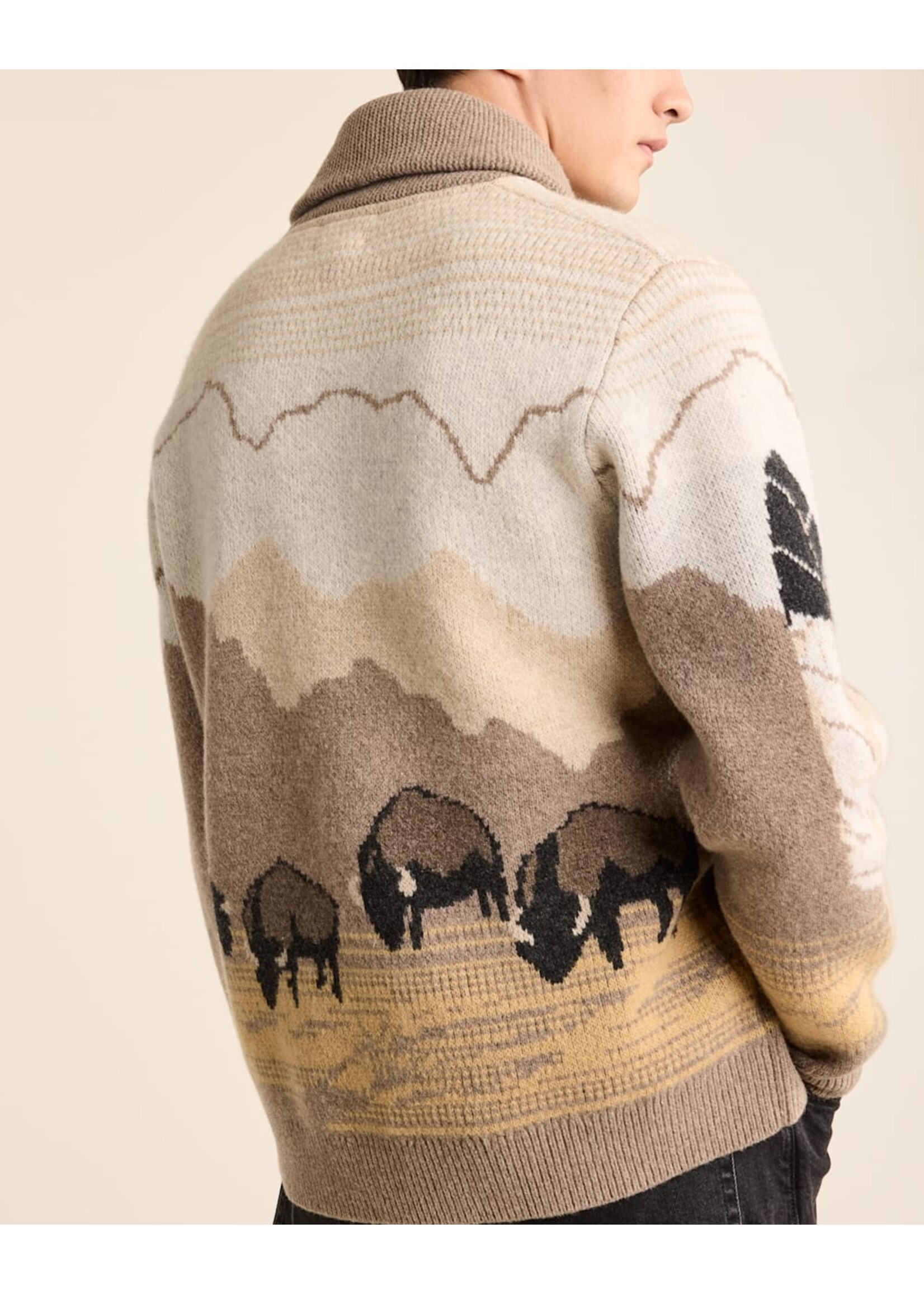 Pendleton Pendleton Men's In Their Element Lambswool Cardigan