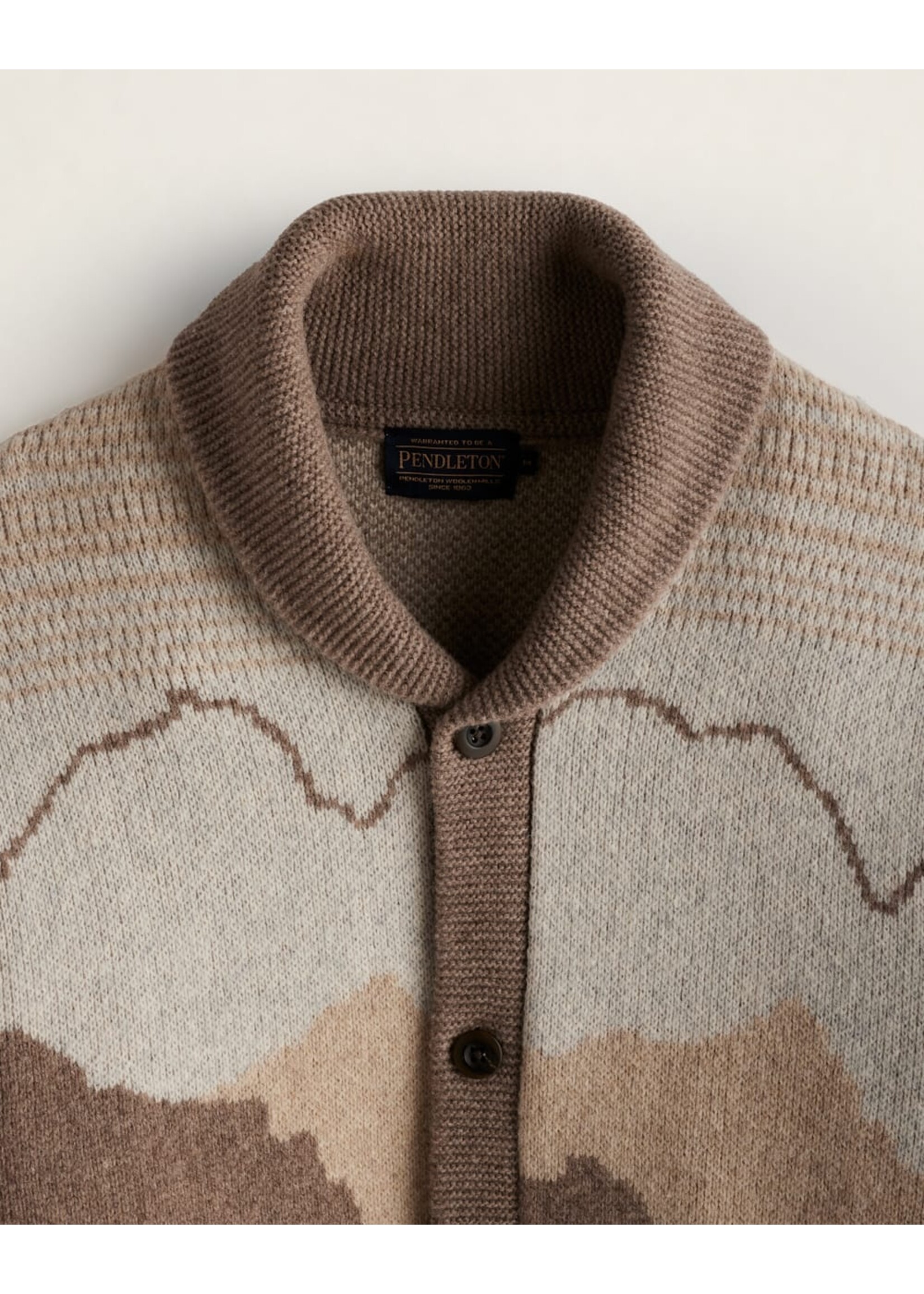 Pendleton Pendleton Men's In Their Element Lambswool Cardigan